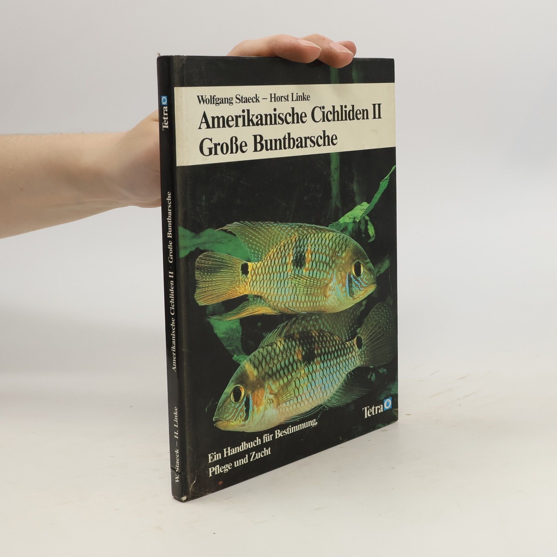 Horst Linke Amerikanische Cichliden II : Große Buntbarsche ein Handbuch für Bestimmung, Pflege und Zucht