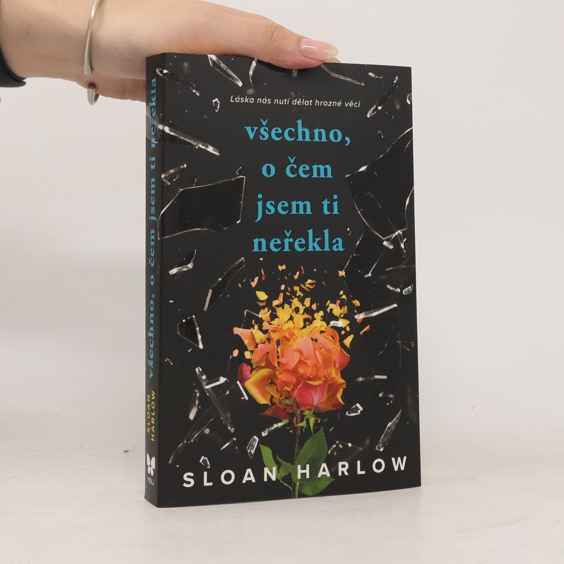 Sloan Harlow Všechno, o čem jsem ti neřekla