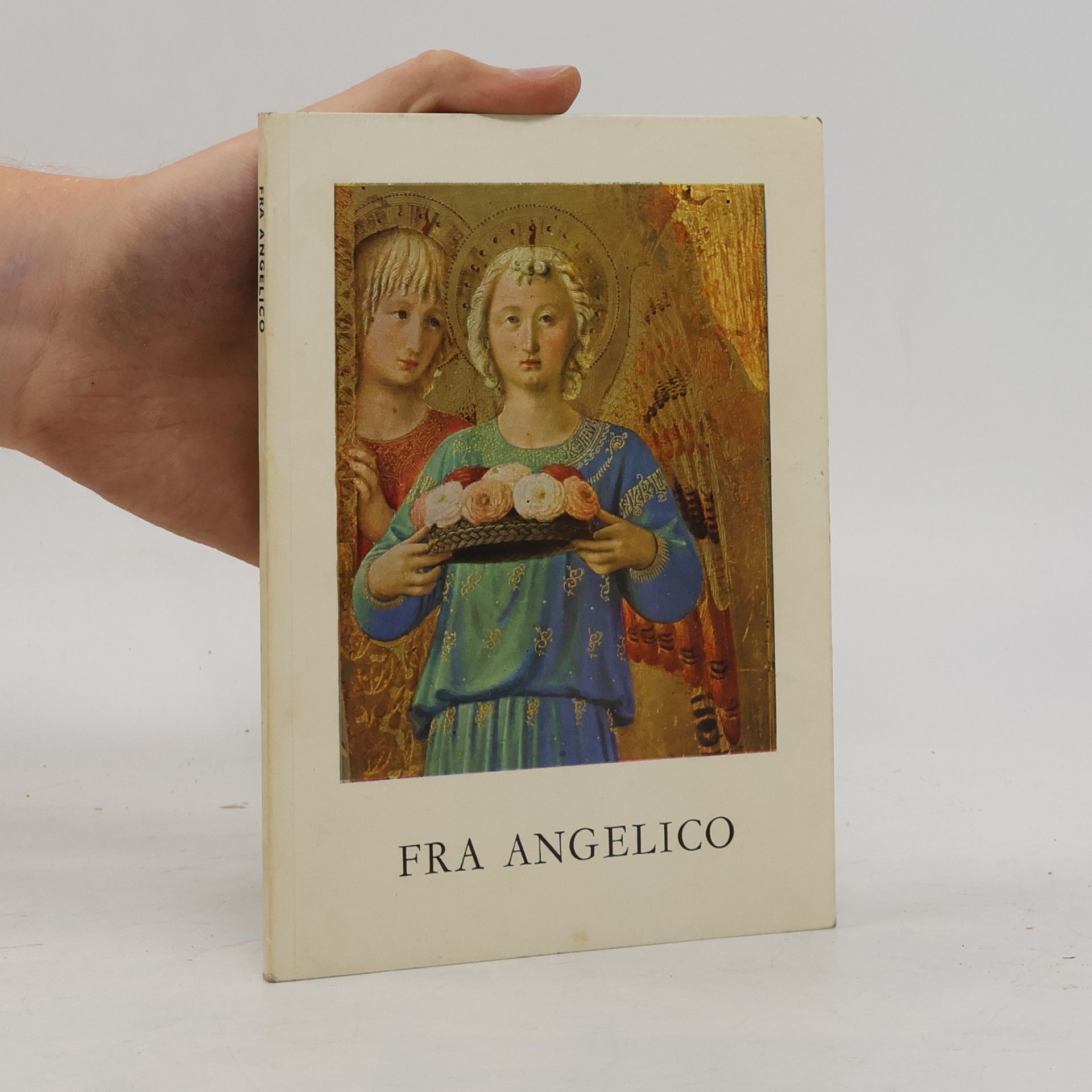 Kolektiv autorů Fra Angelico