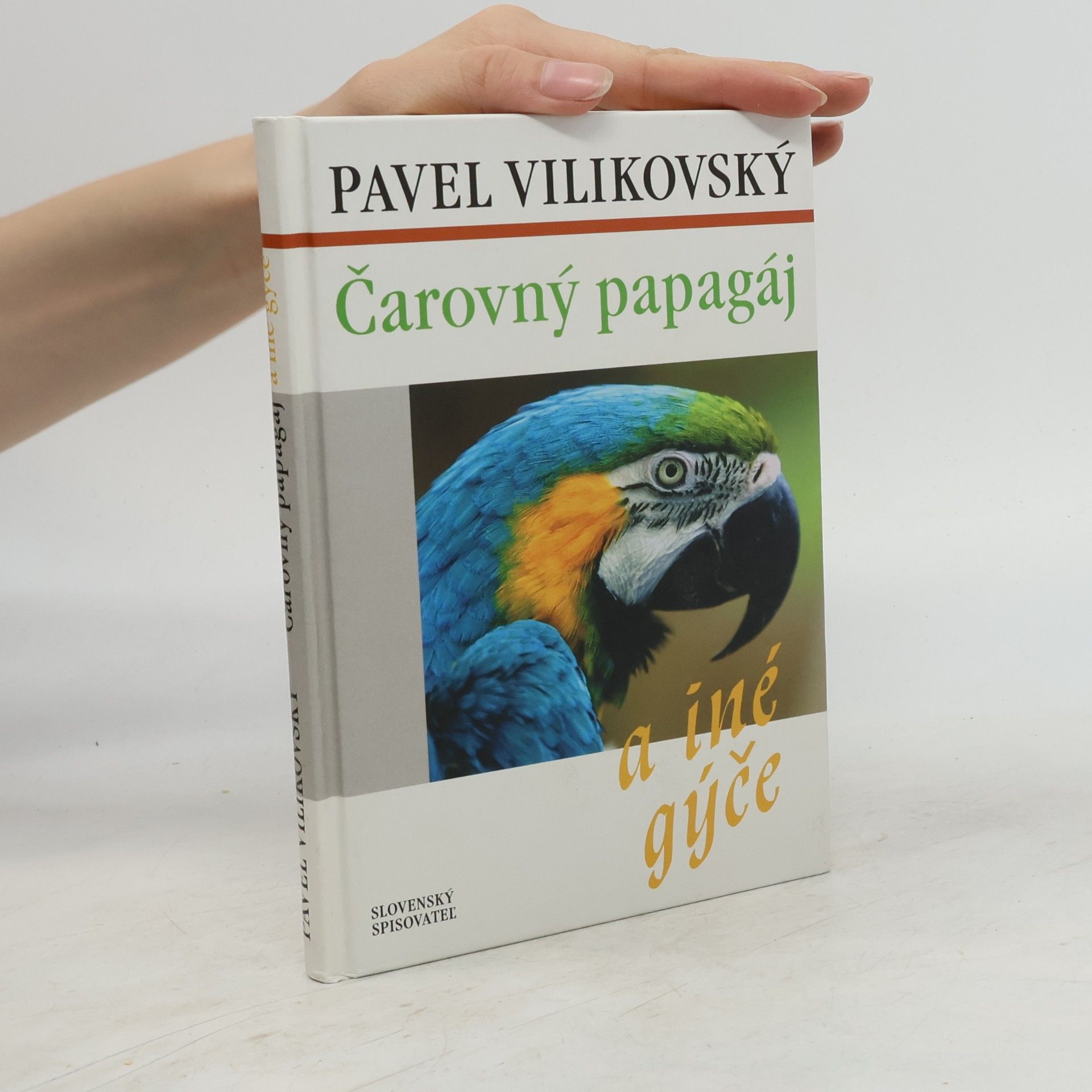 Pavel Vilikovský Čarovný papagáj a iné gýče