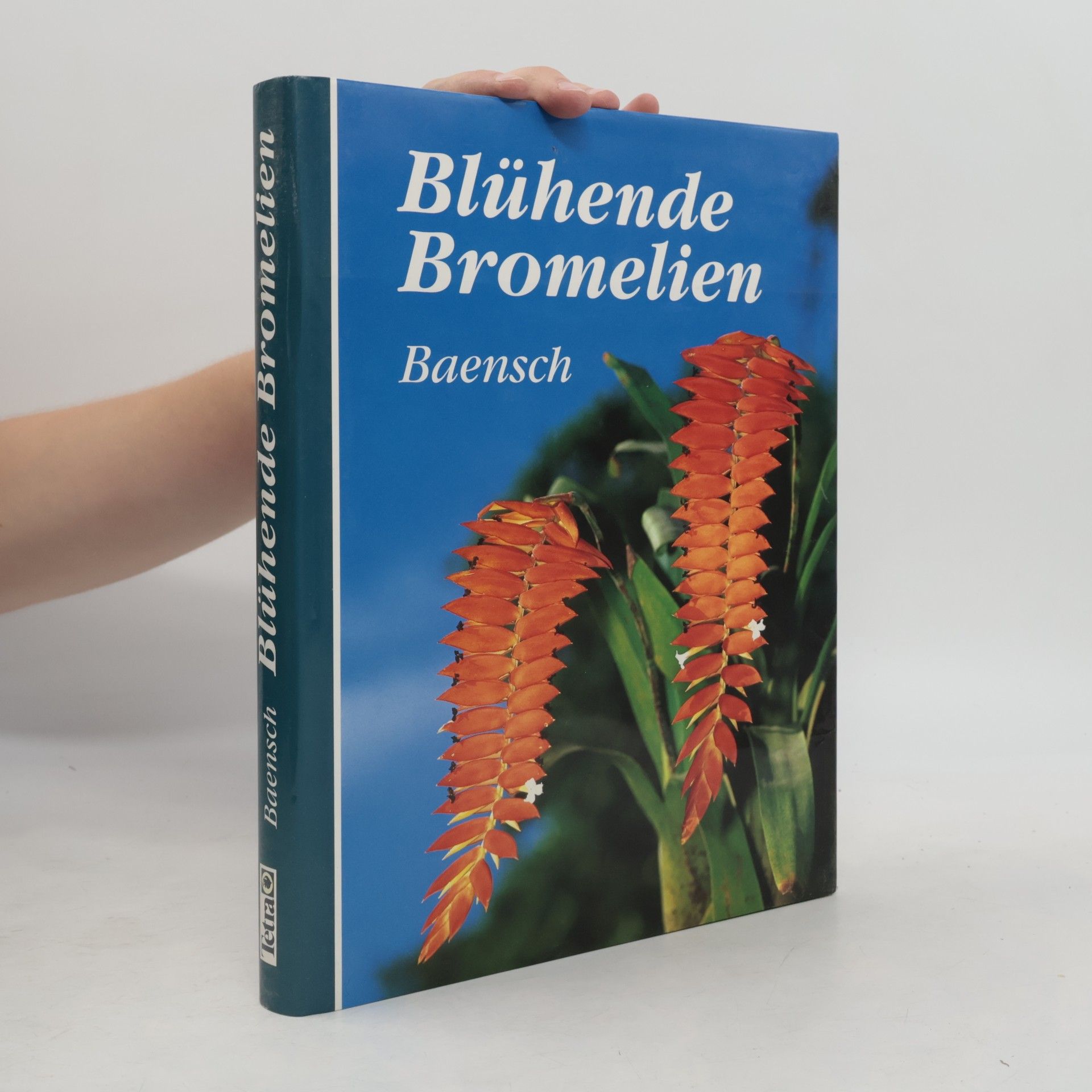 Ursula Baensch Blühende Bromelien, with English translation