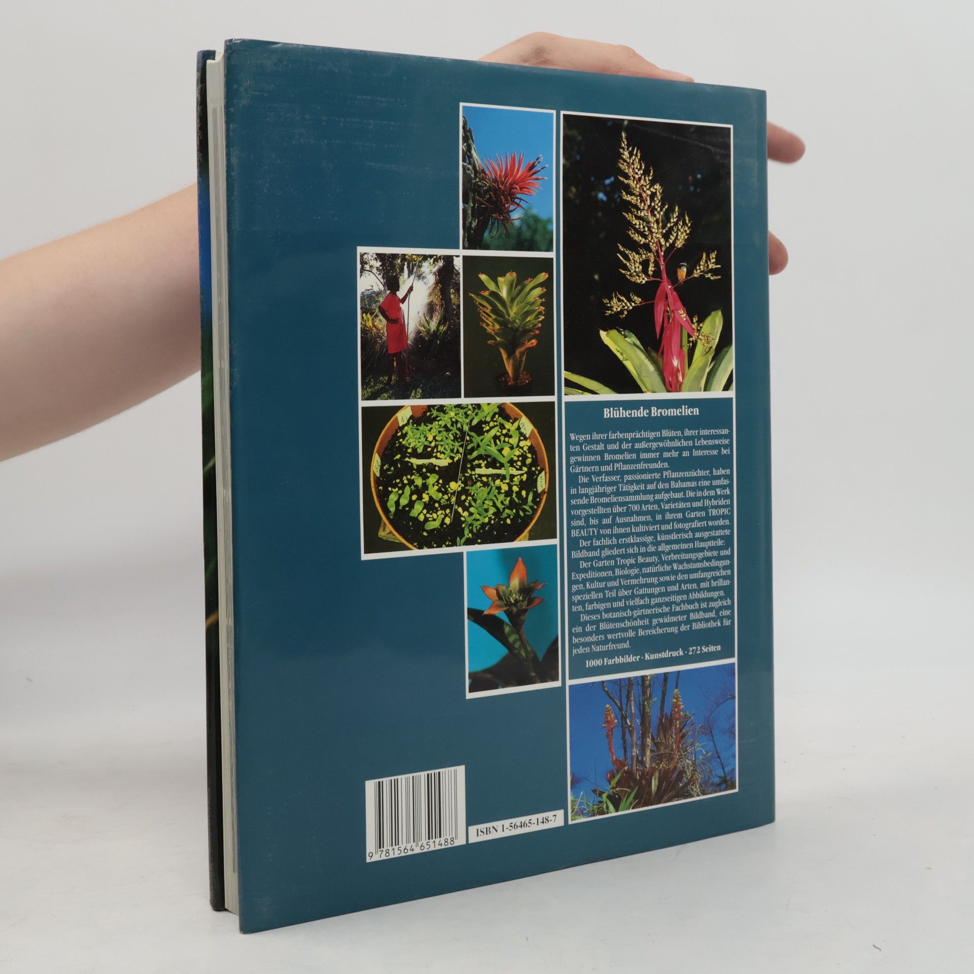 Ulrich Baensch Blühende Bromelien, with English translation