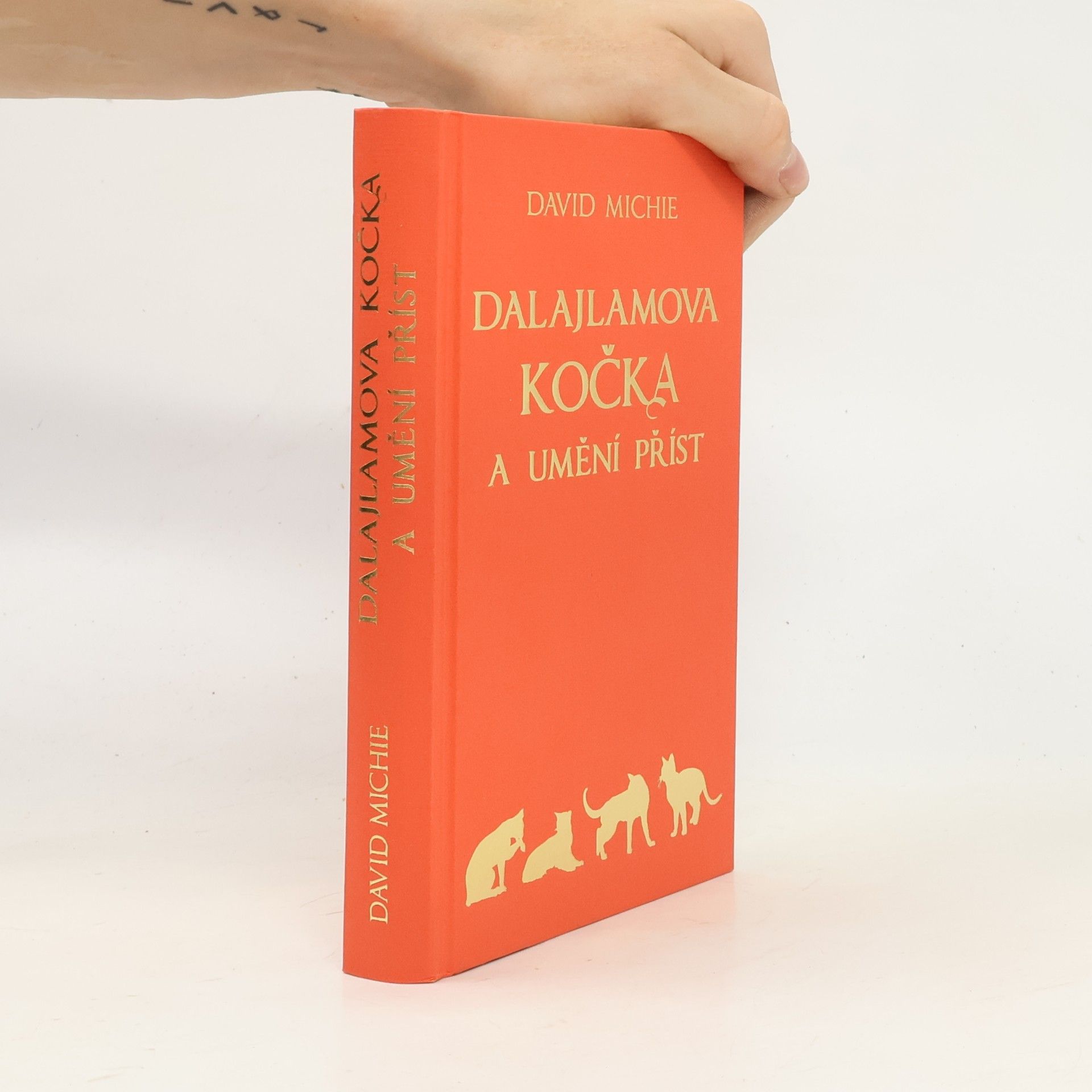David Michie Dalajlamova kočka a umění příst