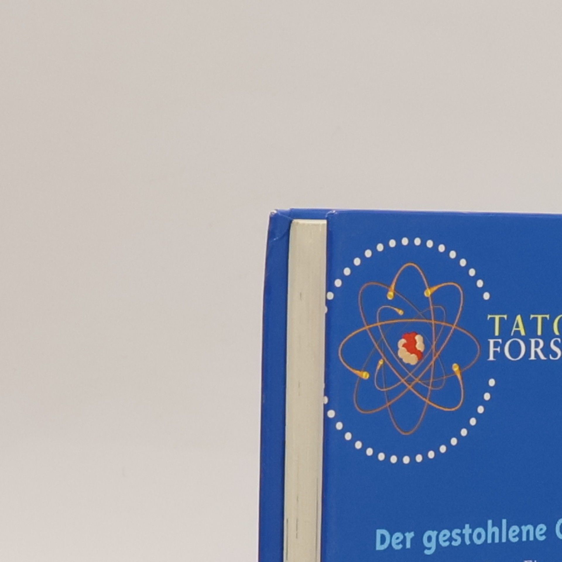 Bellinda Der gestohlene Geigenkasten