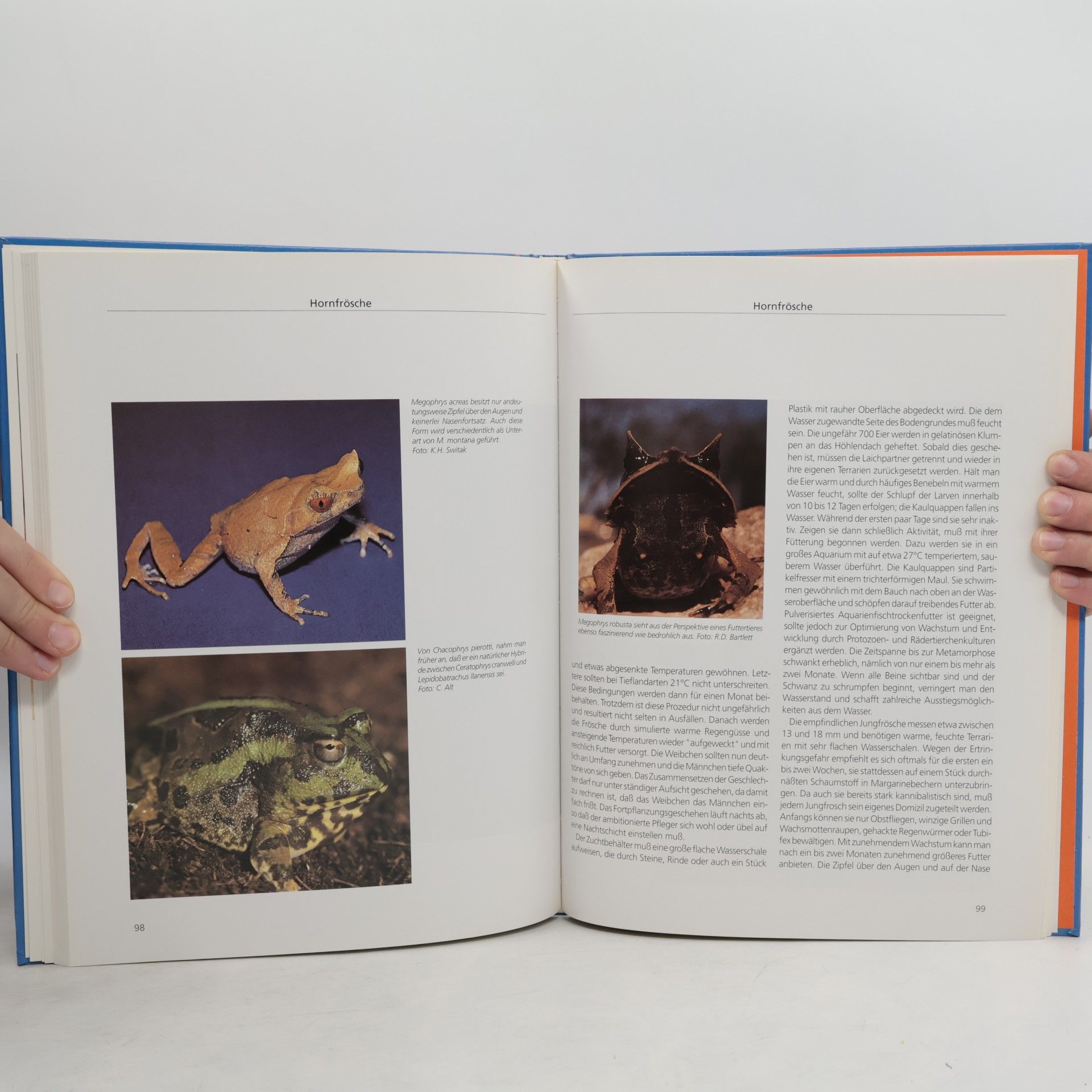 Jerry G. Walls Das große Buch der Frösche, Kröten und Unken