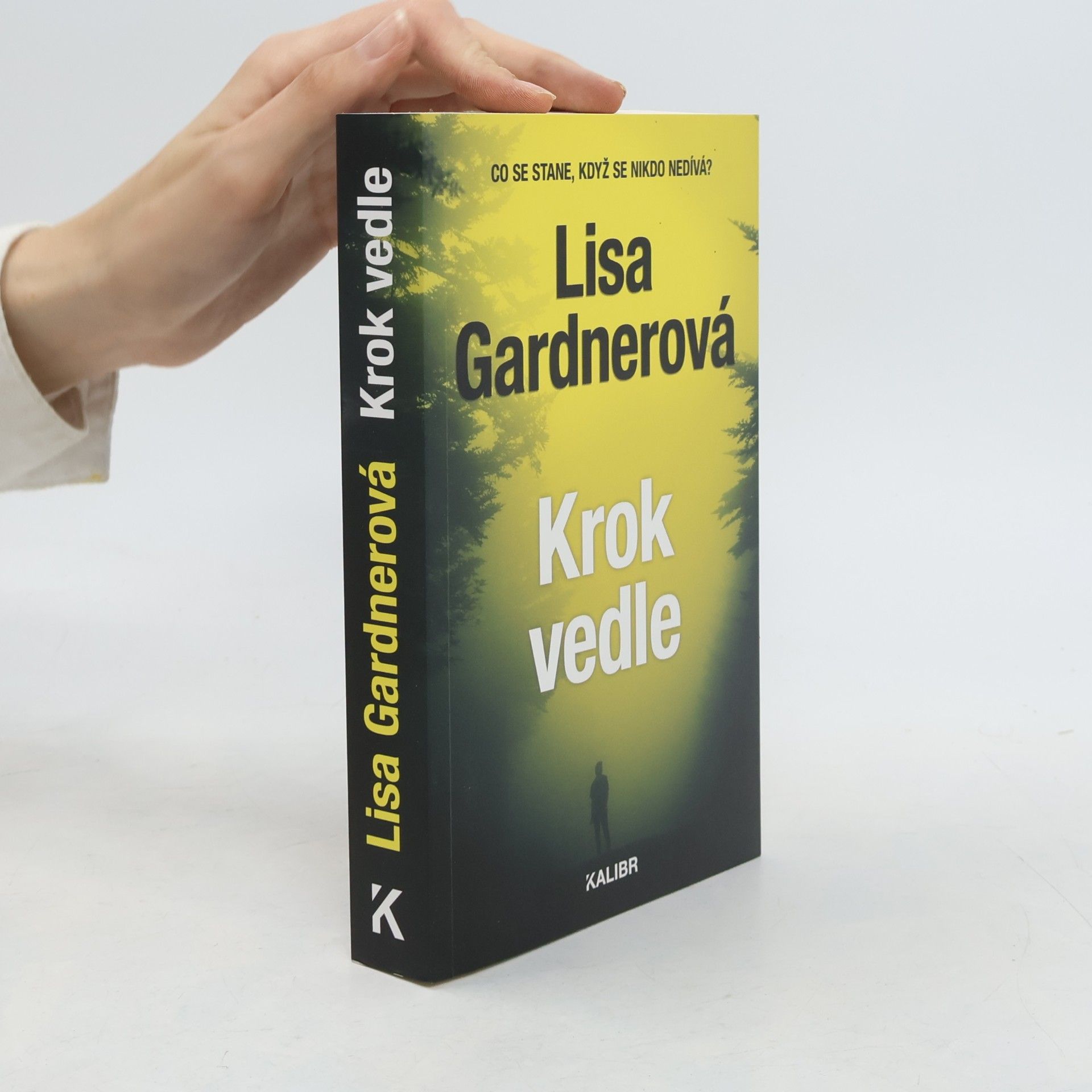 Lisa Gardner Krok vedle