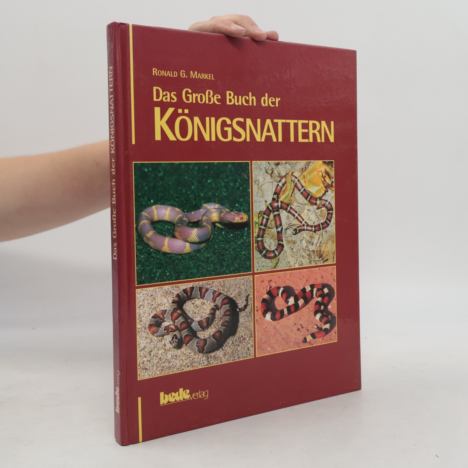 Ronald G. Markel Das grosse Buch der Königsnattern