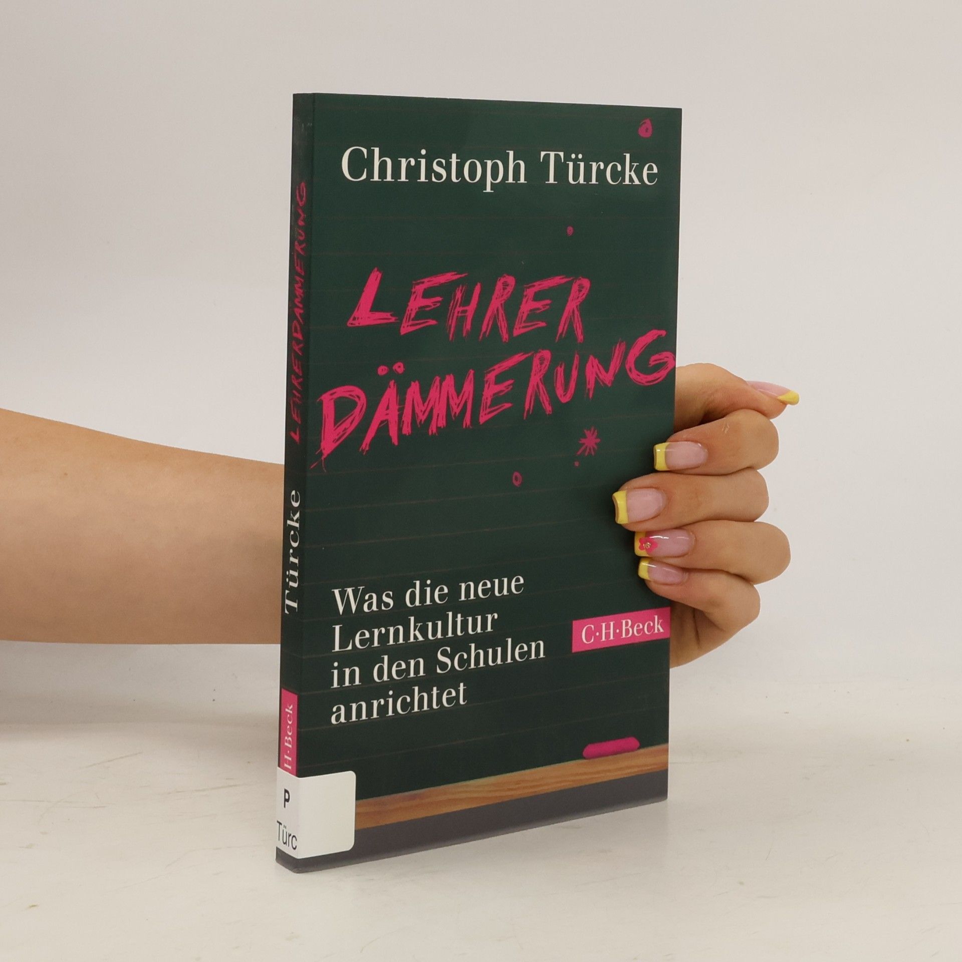 Christoph Türcke Lehrerdämmerung