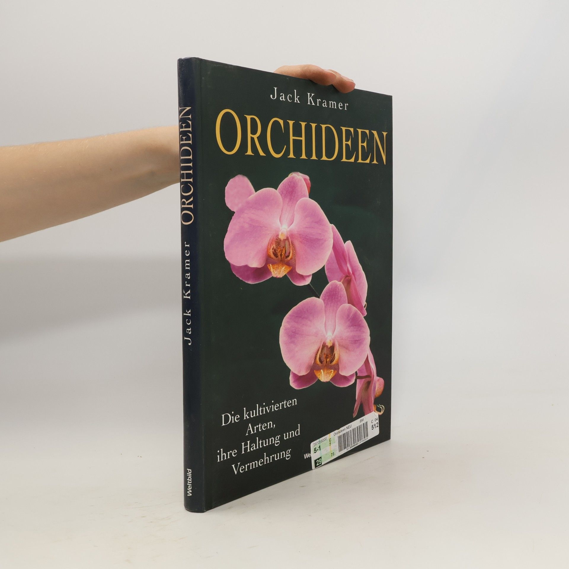 Jack Kramer Orchideen