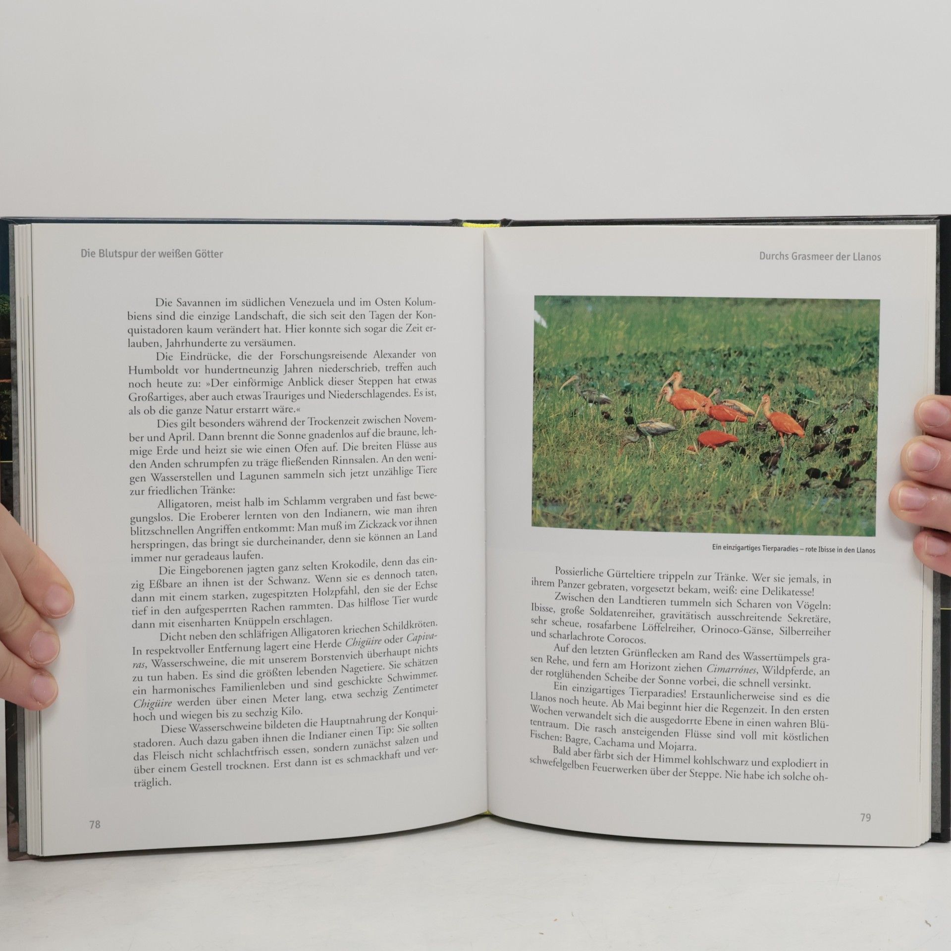 Autorenkollektiv Terra X. Der Todeszug der Lanzenreiter. Die Blutspur der weißen Götter