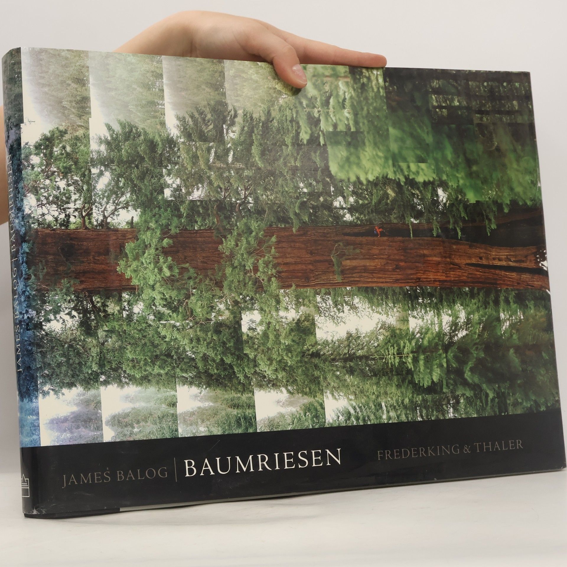 James Balog Baumriesen