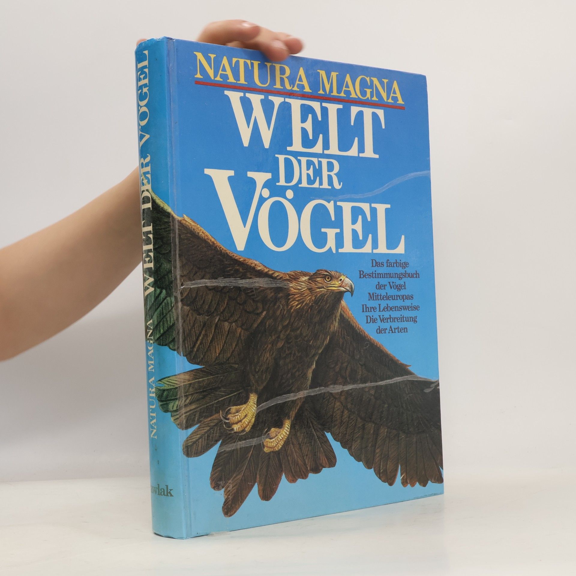 Kolektív autorov Natura Magna. Welt der Vögel