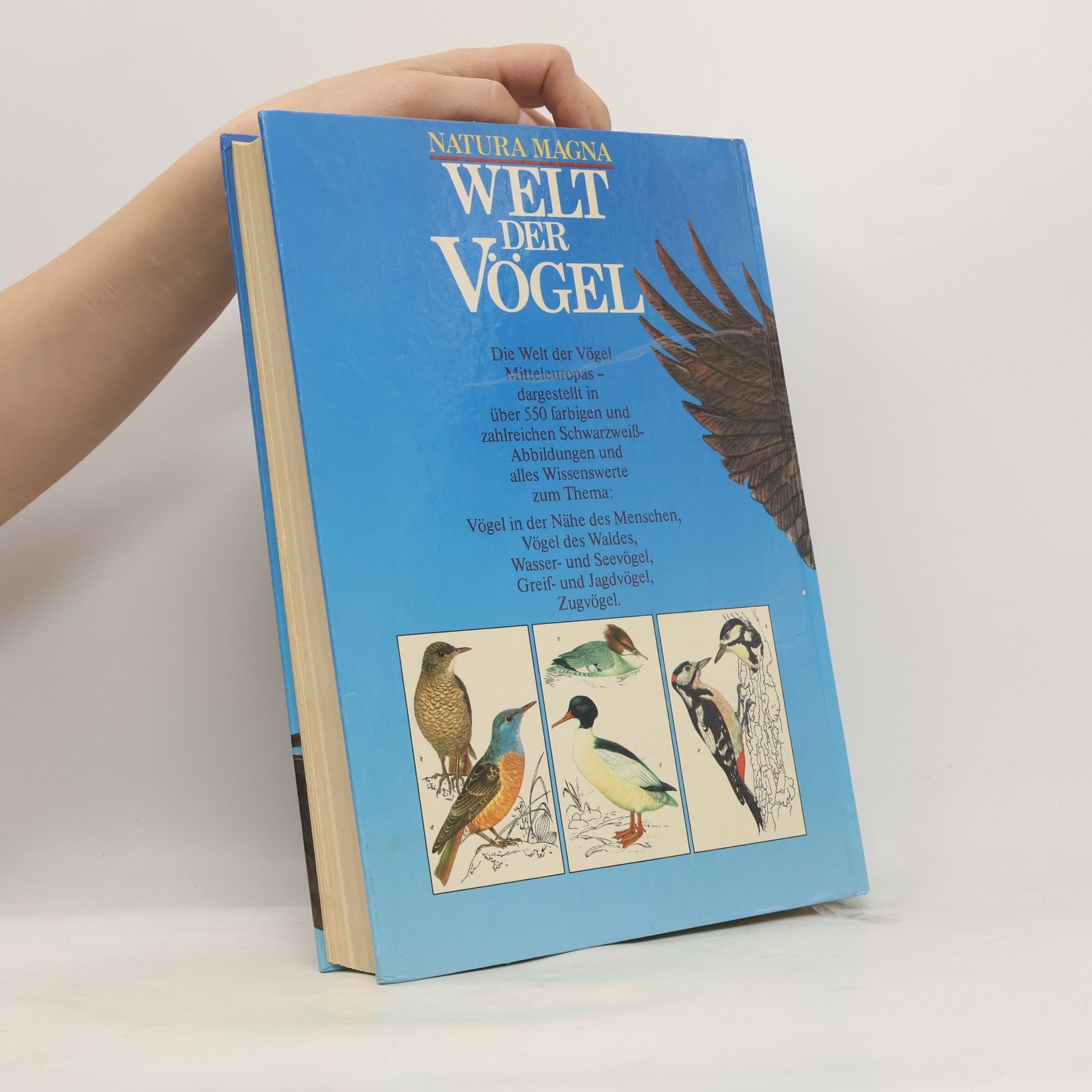 Various authors Natura Magna. Welt der Vögel