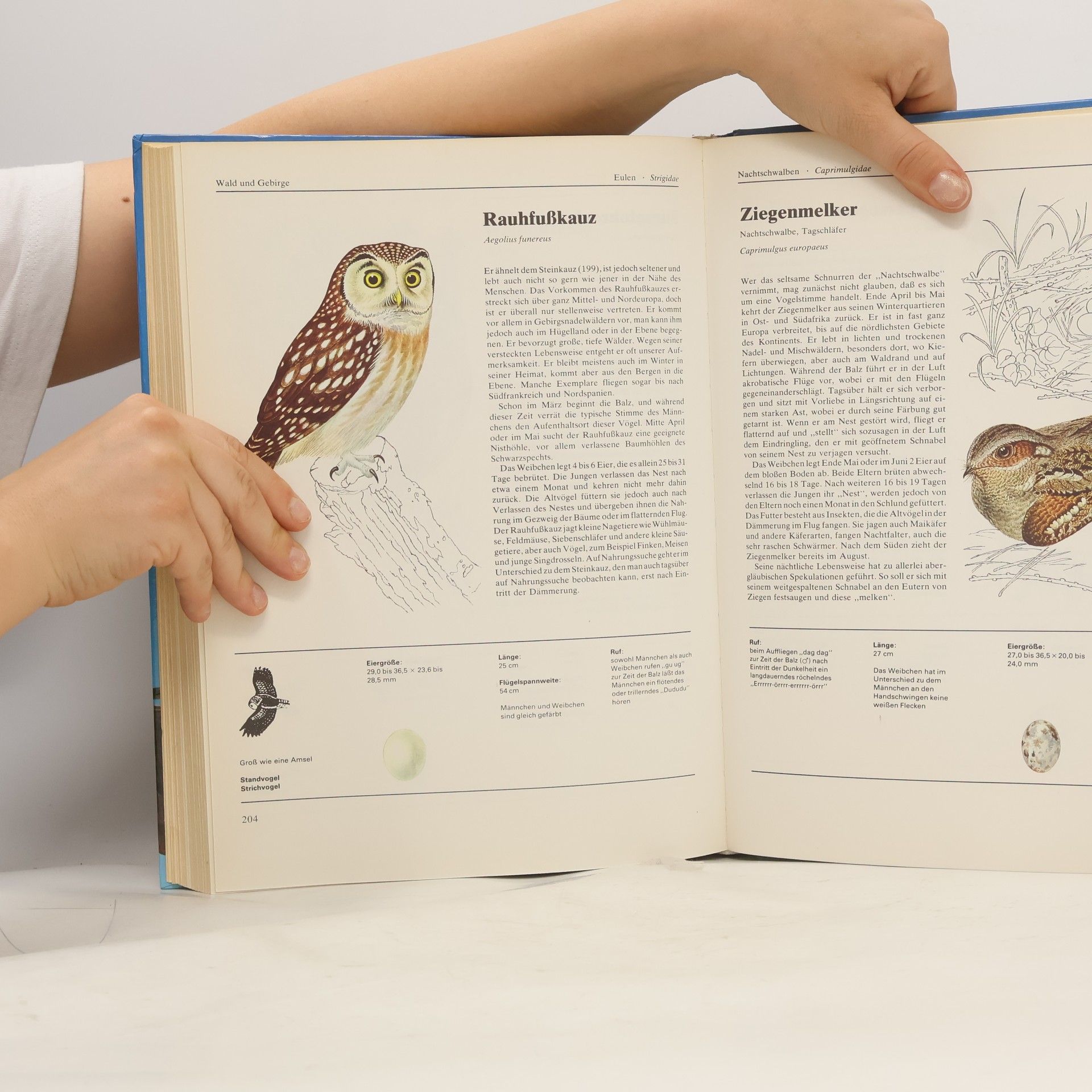 Various authors Natura Magna. Welt der Vögel