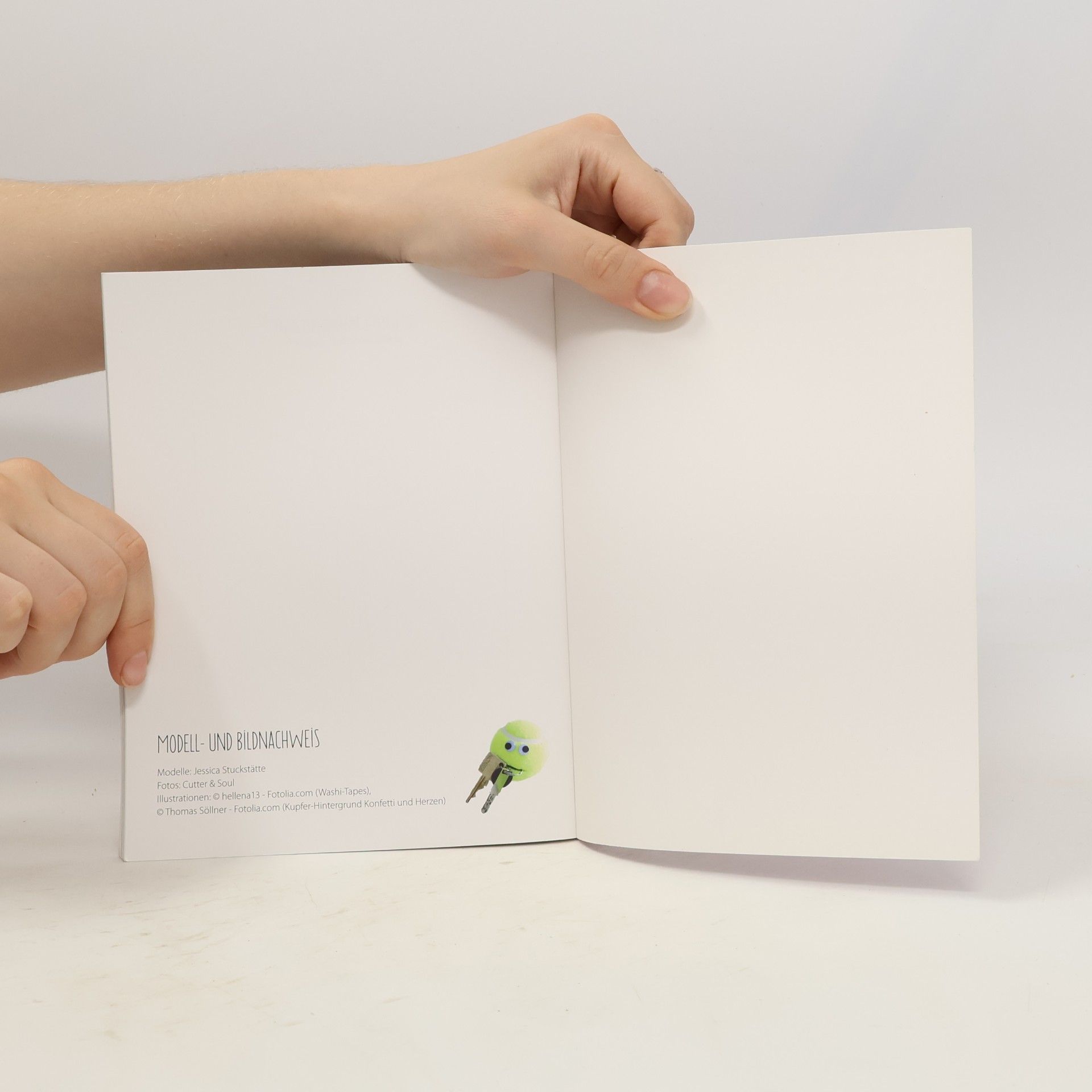 Autorenkollektiv Kreative Upcycling-Ideen