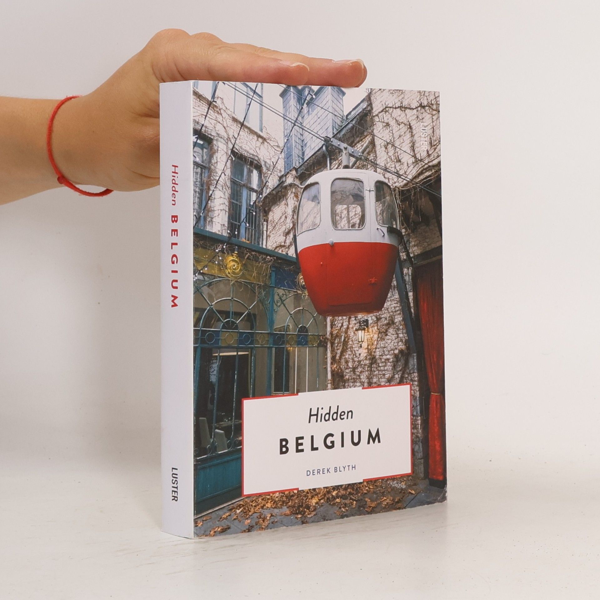 Derek Blyth Hidden Belgium