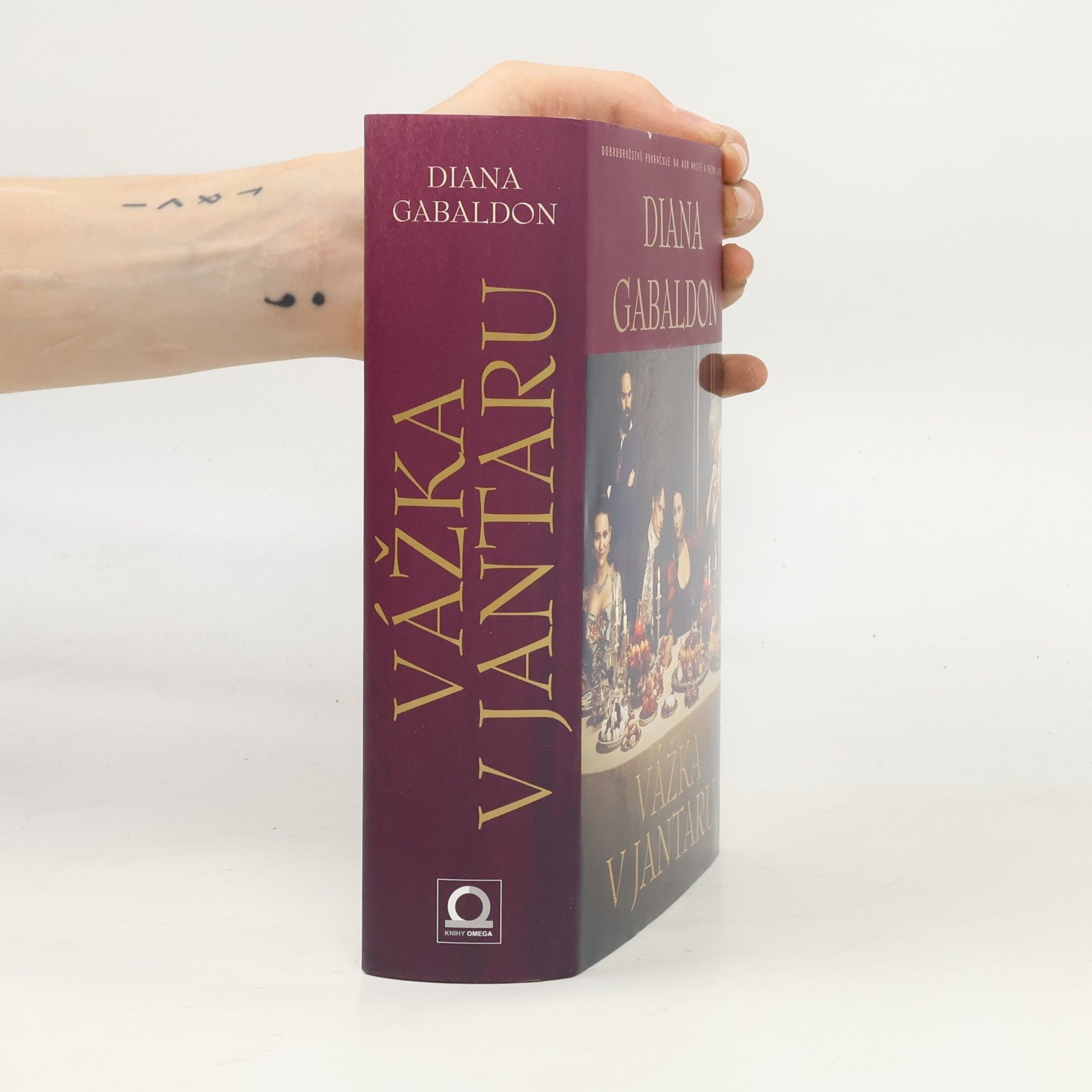 Diana Gabaldon Vážka v jantaru