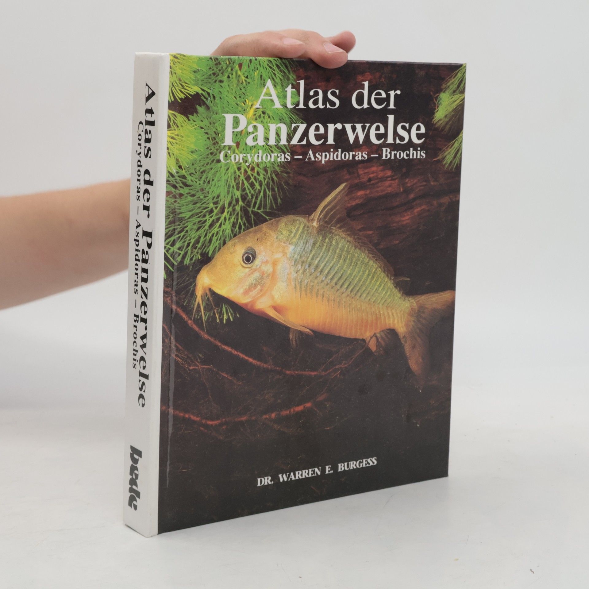 Warren E. Burgess Atlas der Panzerwelse