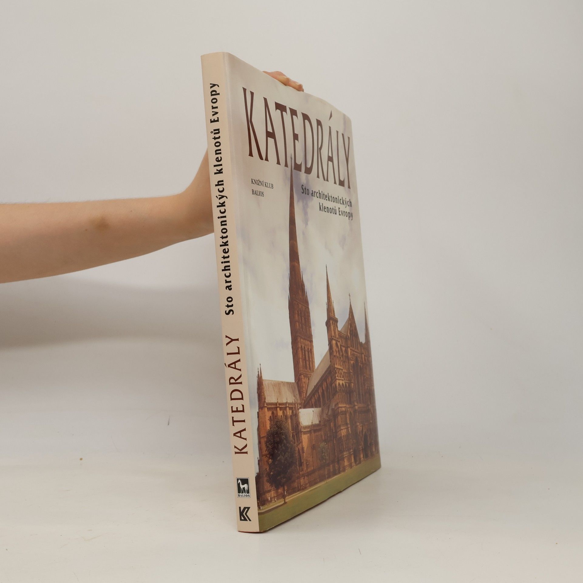 Autorenkollektiv Katedrály : sto architektonických klenotů Evropy