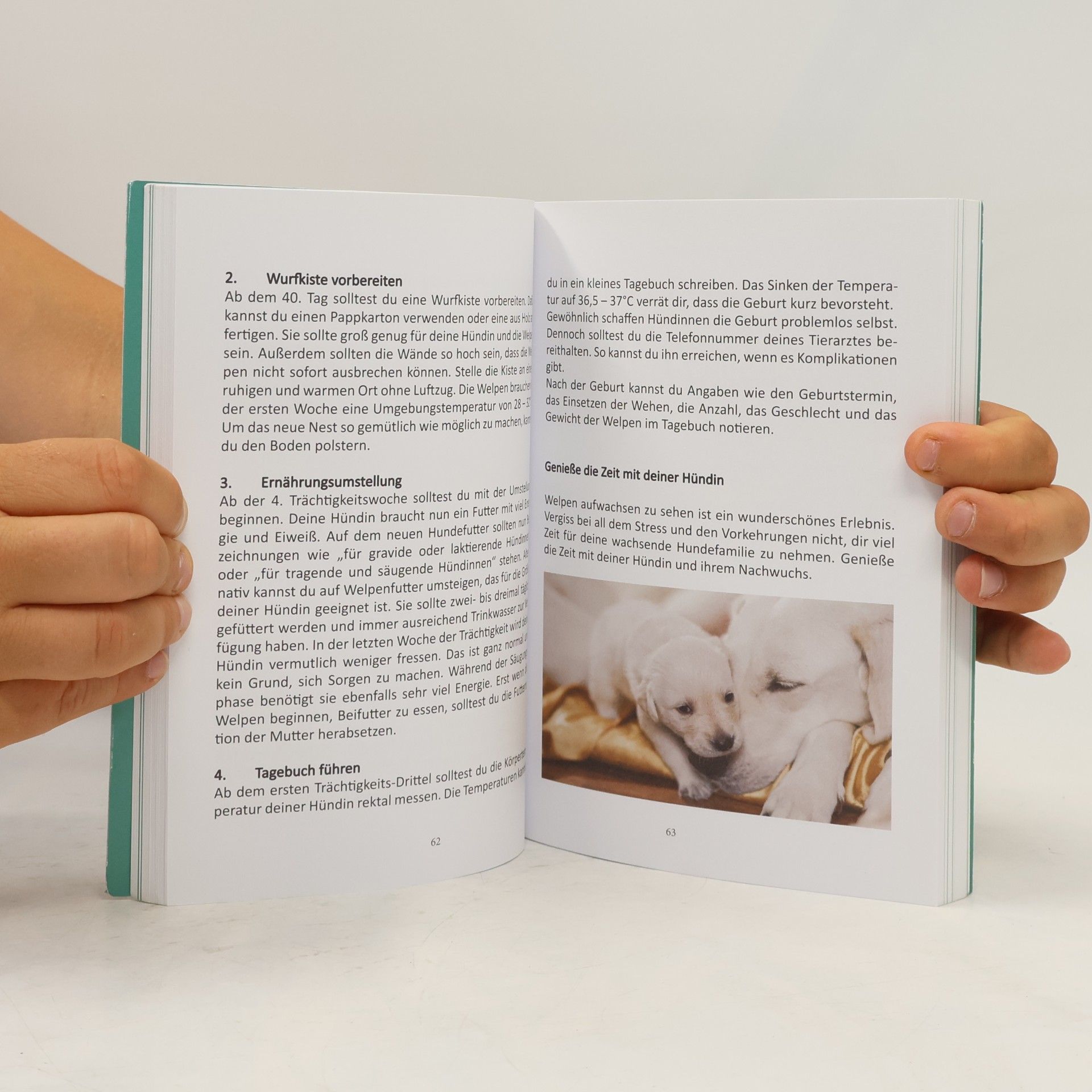 Emin Jasarevic Hunde Gesundheits Bibel