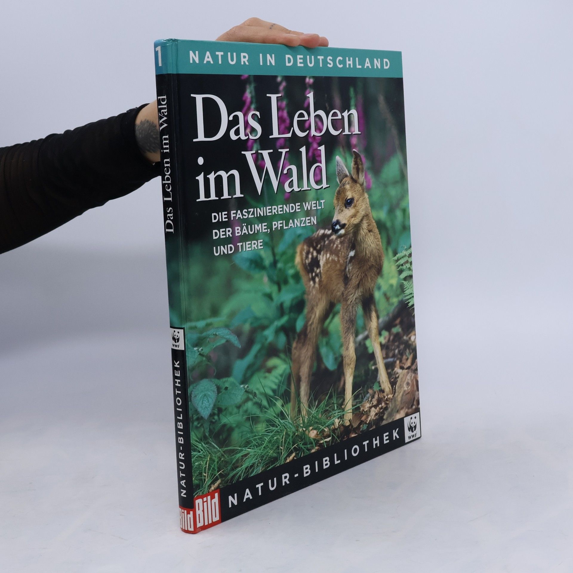 Regine Watscheid Natur in Deutschland 1. Das Leben im Wald