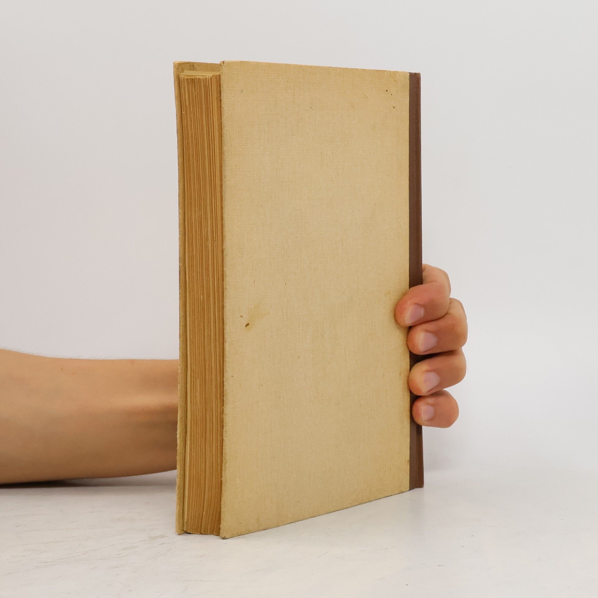 Thomas Mann Buddenbrookovi II