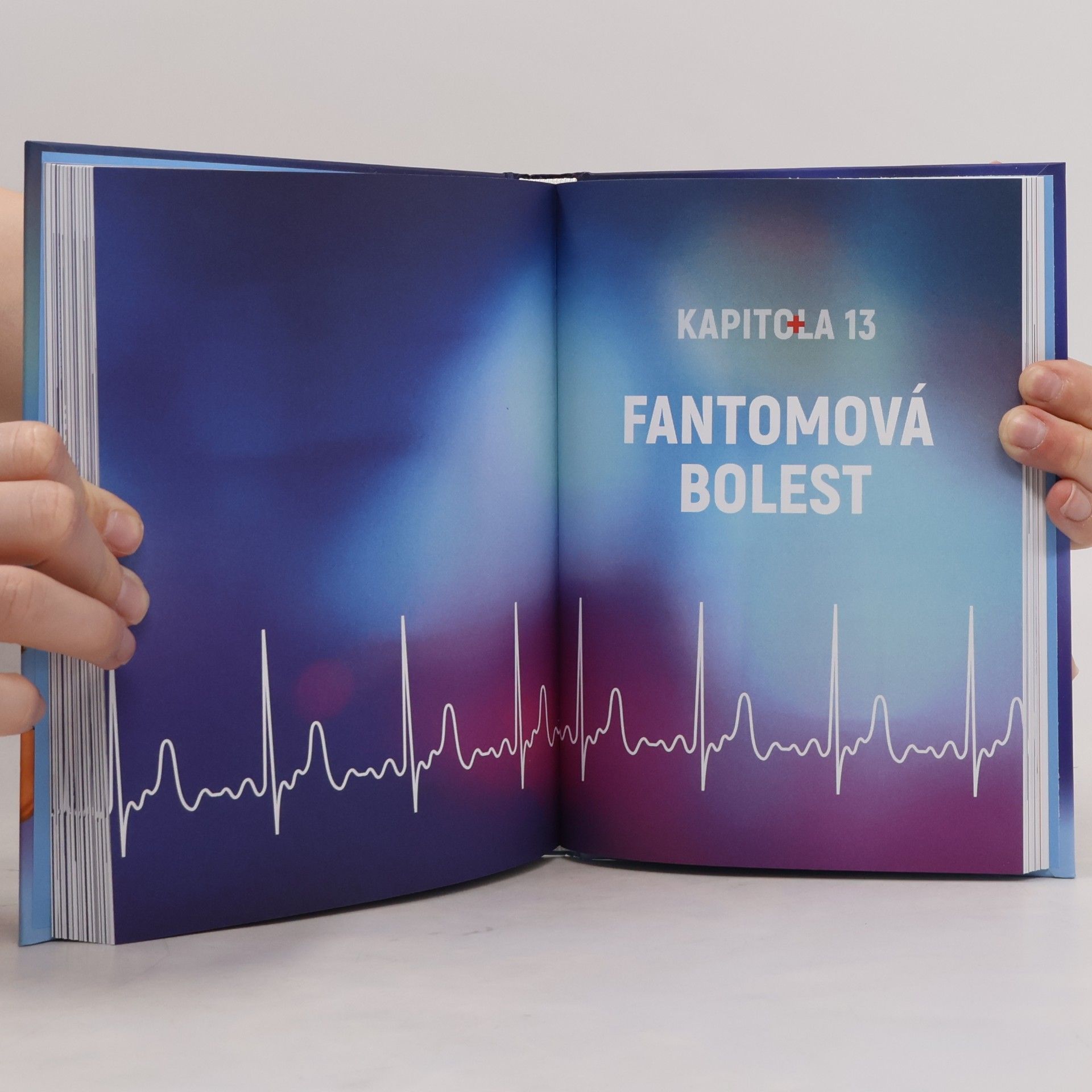 Autorenkollektiv Modrý kód. Když jde o život