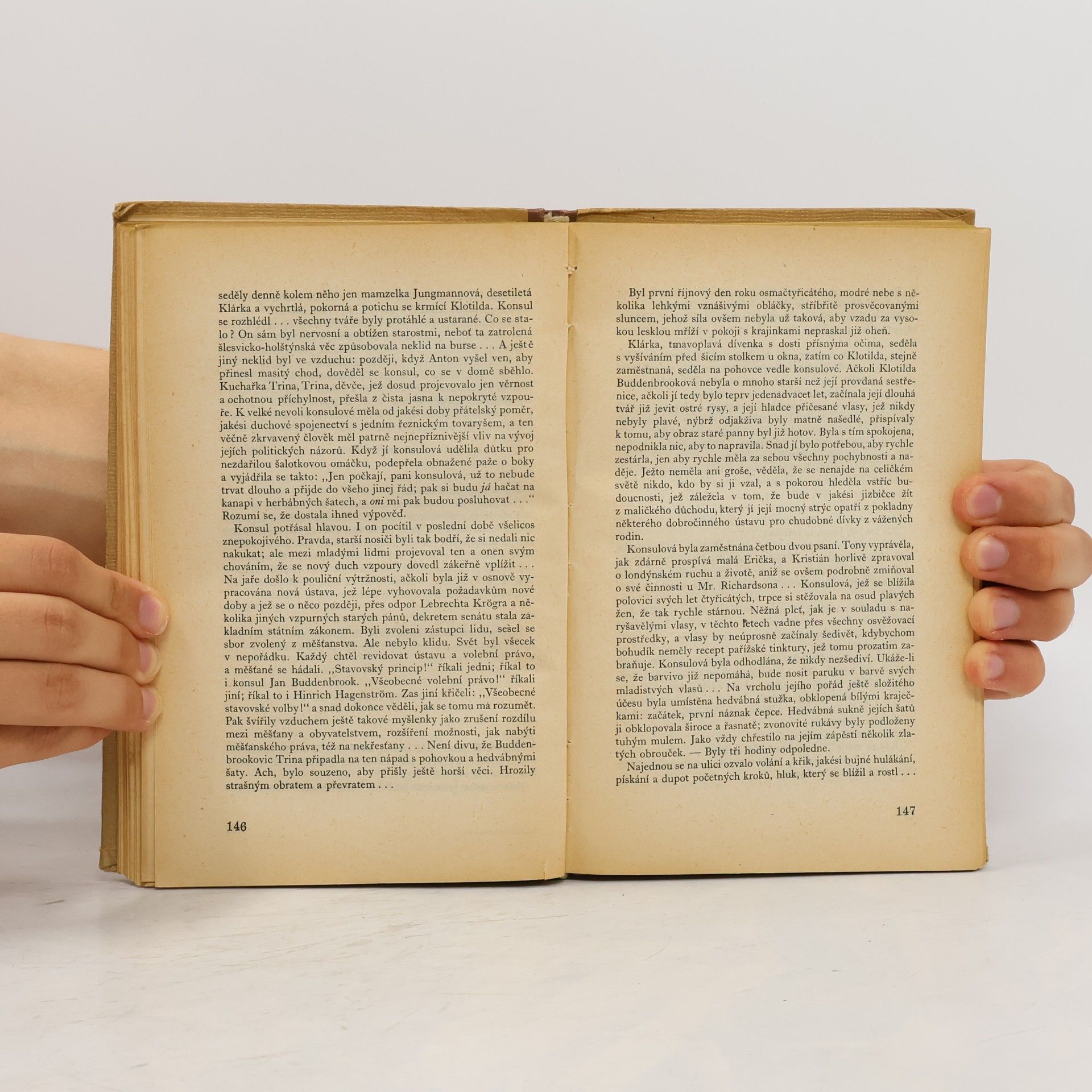 Thomas Mann Buddenbrookovi 1
