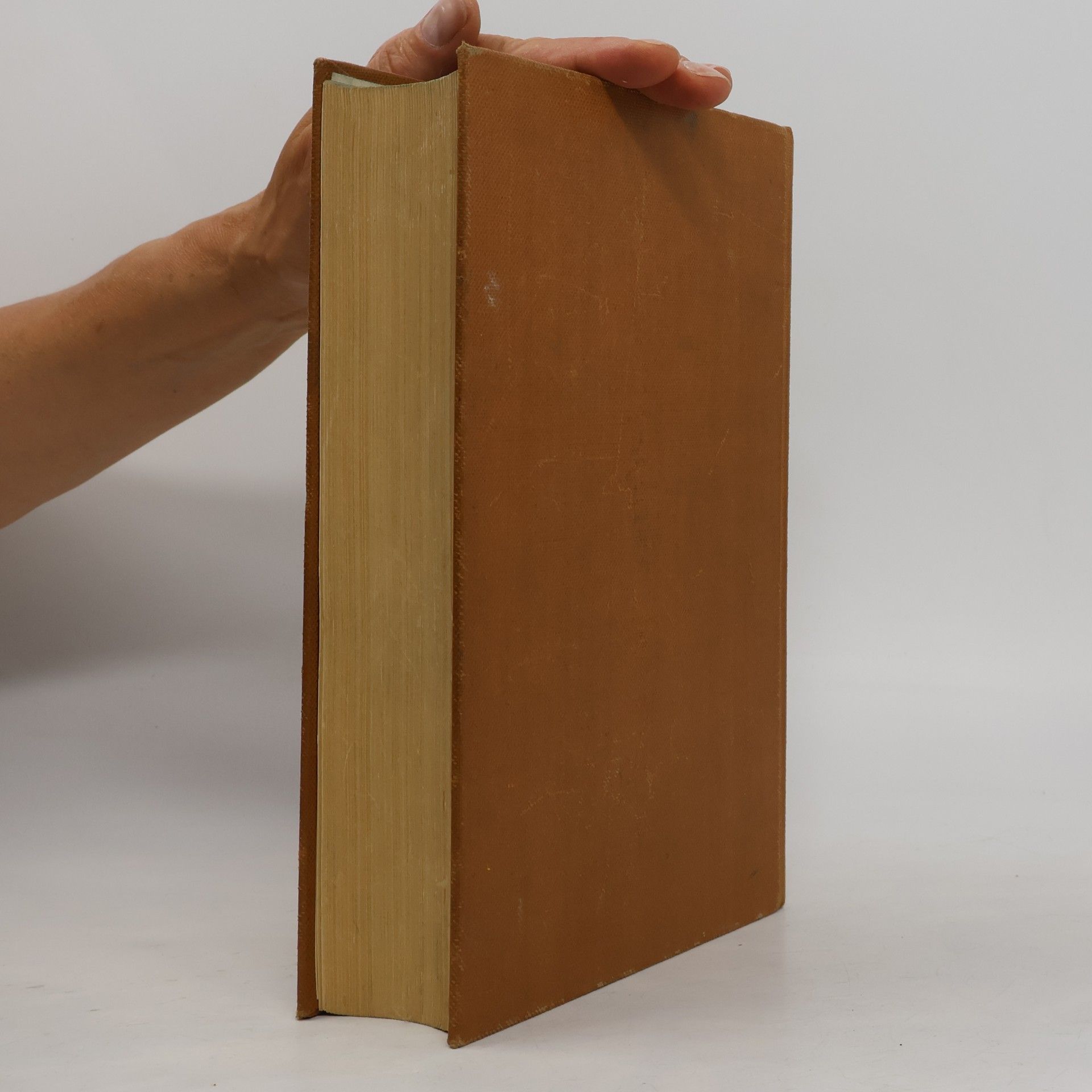 Autorenkollektiv Der Neue Brockhaus 2