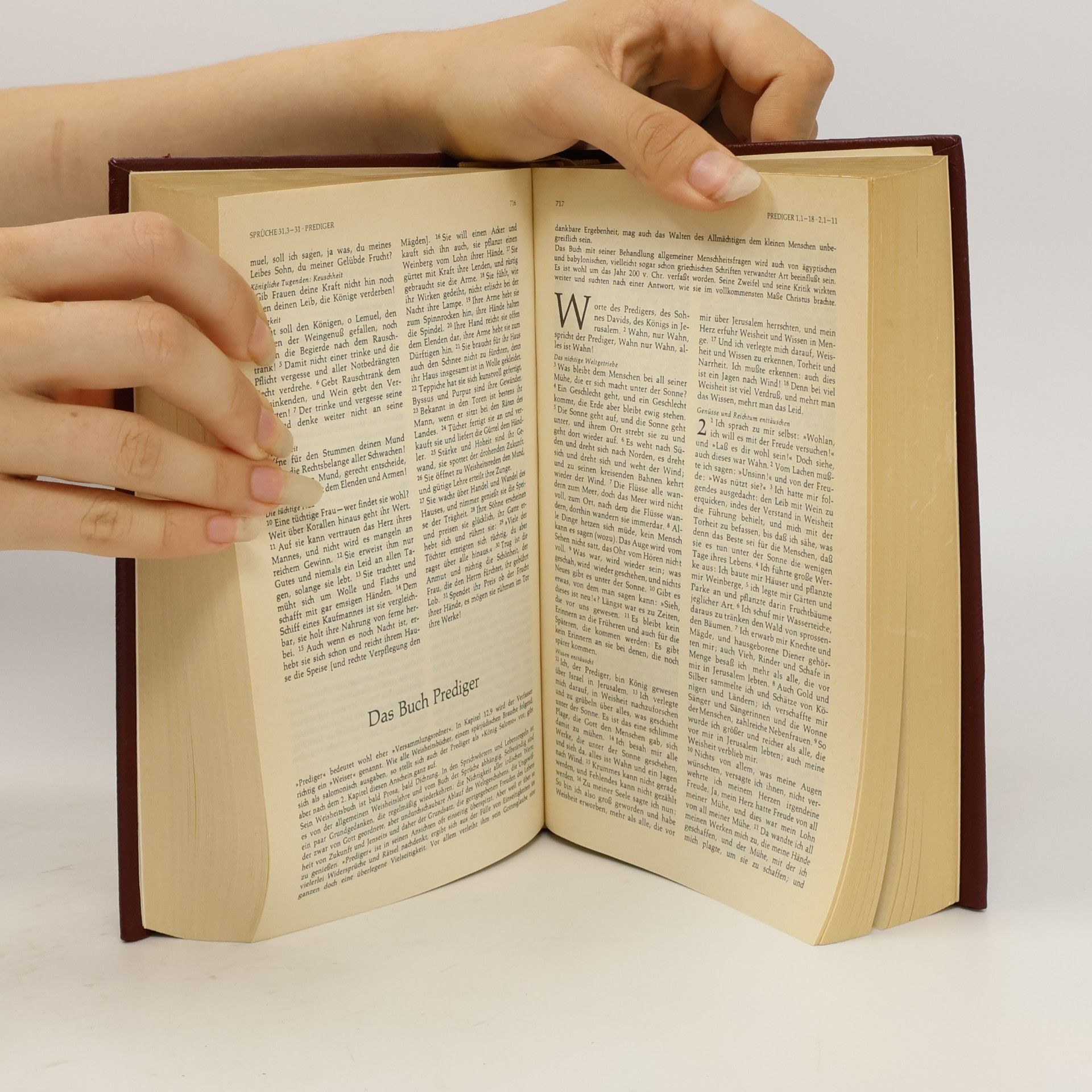 Autorenkollektiv Die Bibel