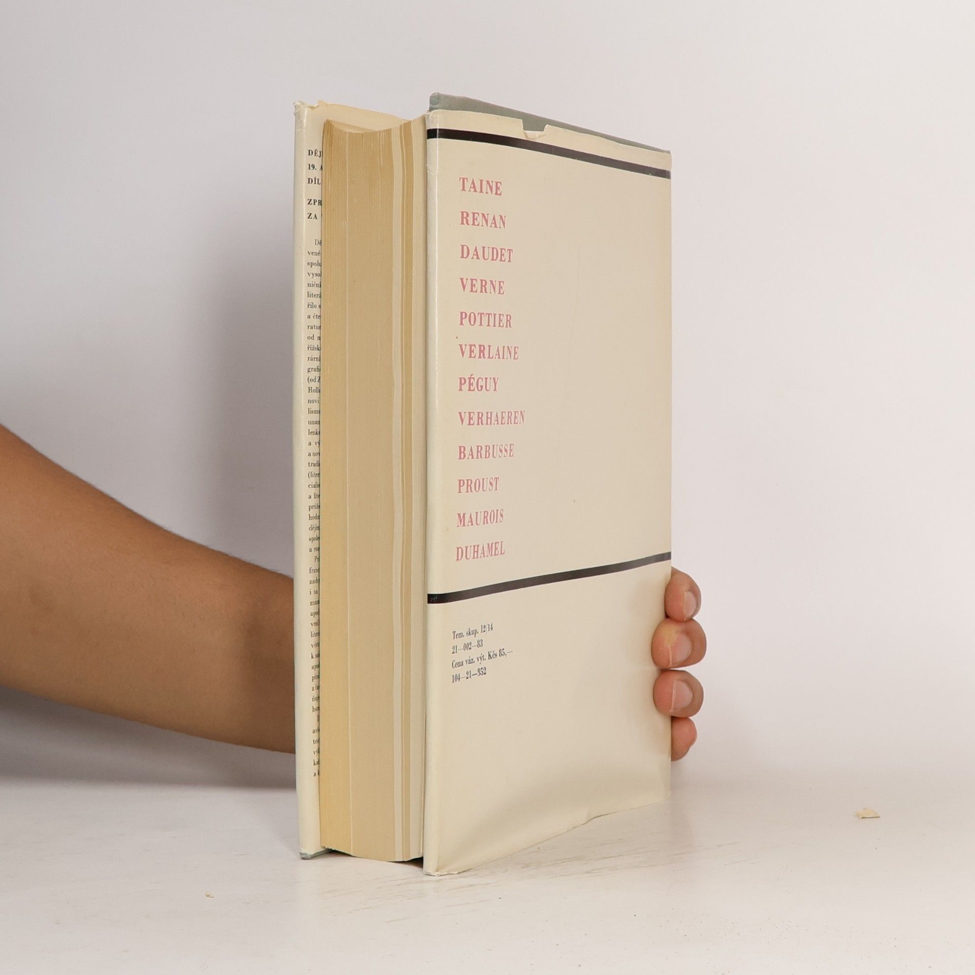 Autorenkollektiv Dějiny francouzské literatury 19. a 20. století 2.díl
