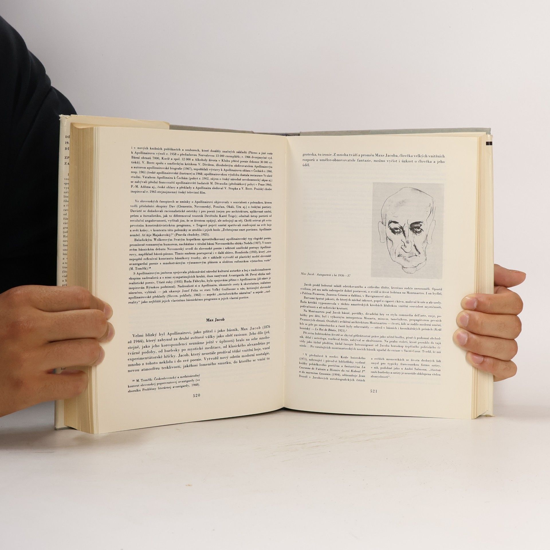 Autorenkollektiv Dějiny francouzské literatury 19. a 20. století 2.díl