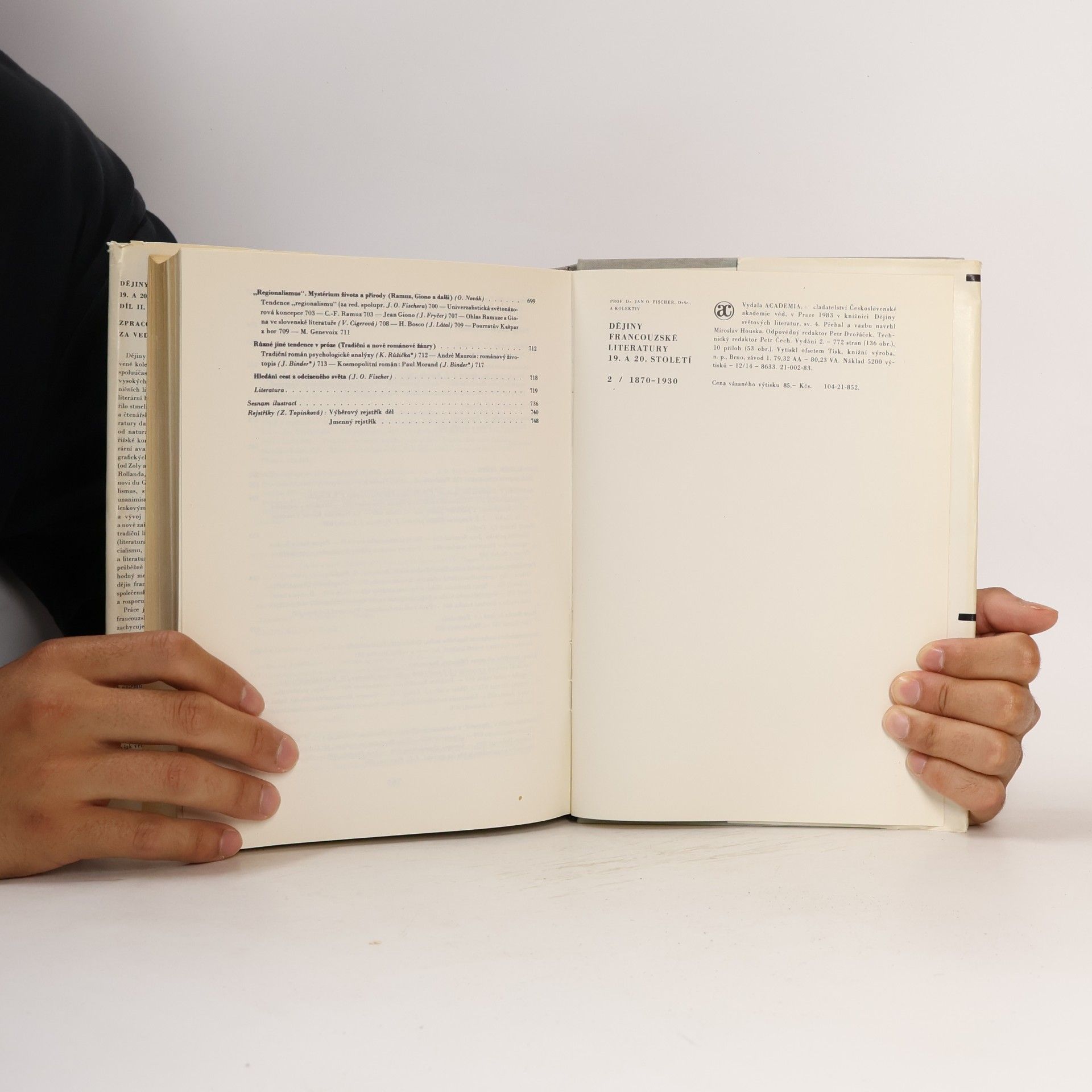 Autorenkollektiv Dějiny francouzské literatury 19. a 20. století 2.díl