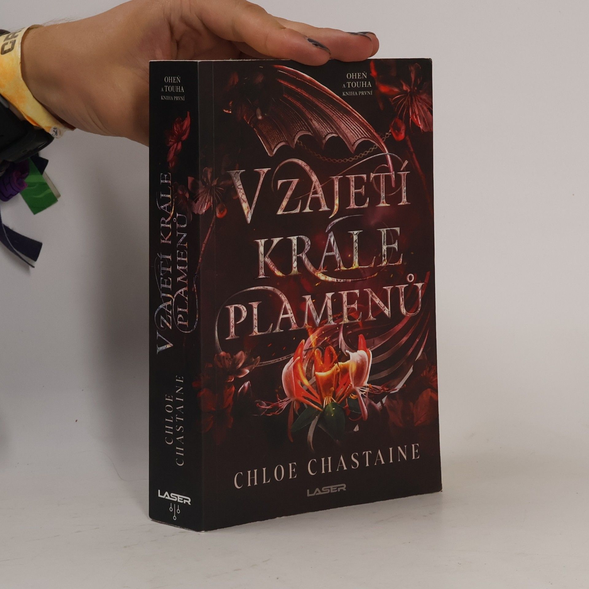 Chloe Chastaine V zajetí krále plamenů