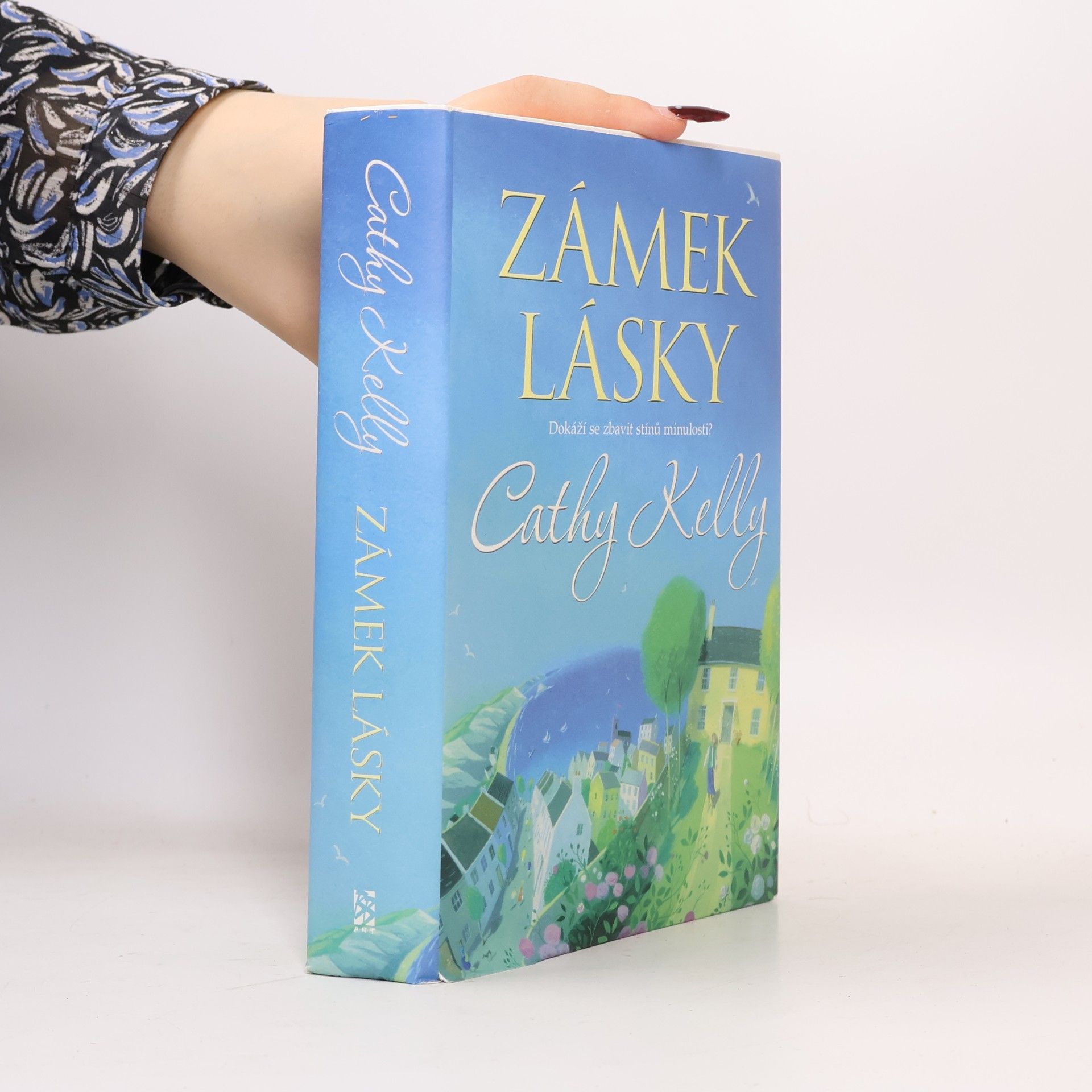 Cathy Kelly Zámek lásky