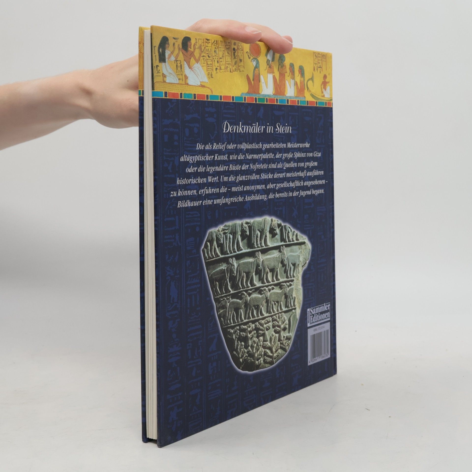 Kolektív autorov Denkmäler in Stein. Geheimnisvolles Ägypten