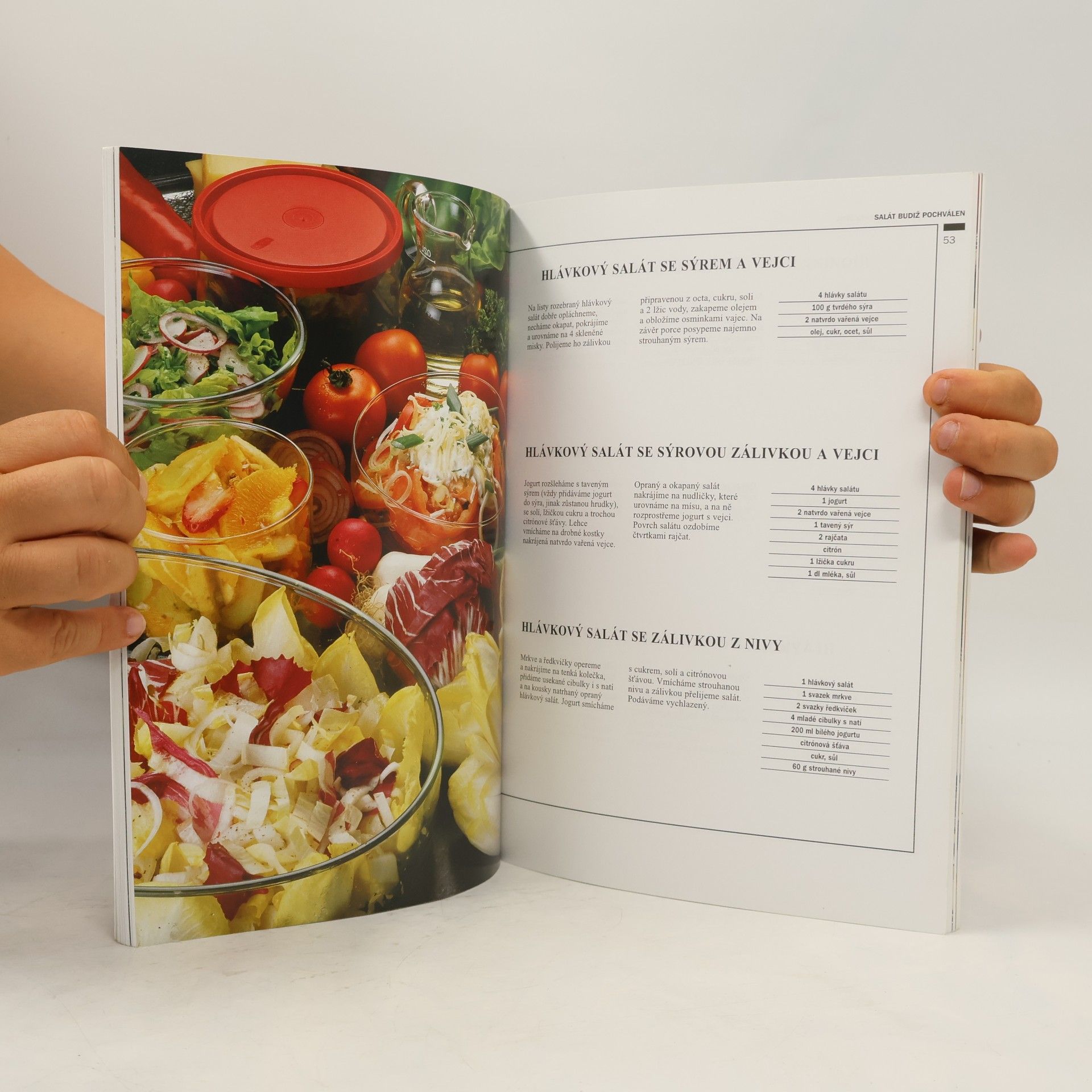 Jana Královcová Chutné saláty pro moderní ženu