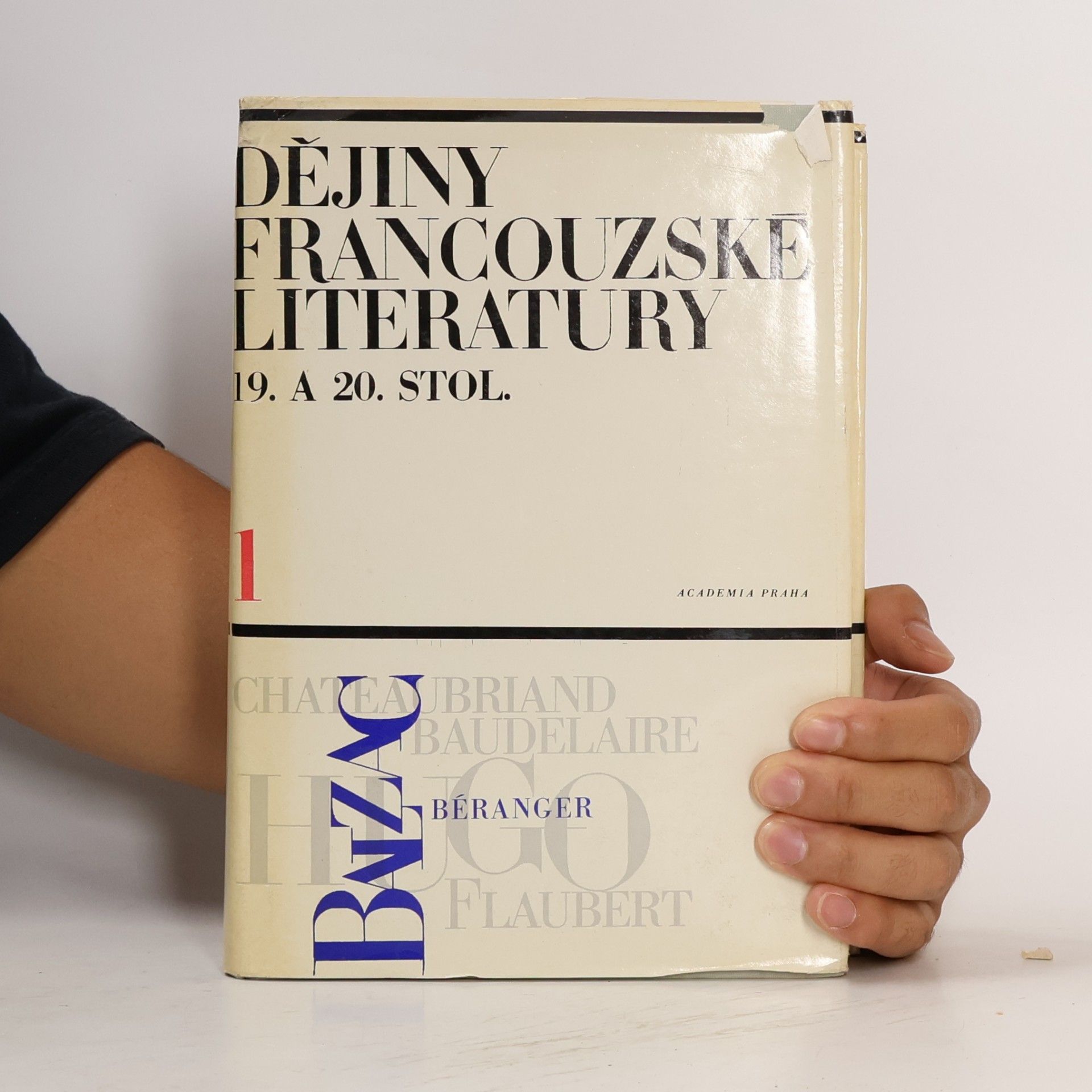 Kolektiv autorů Dějiny francouzské literatury 19. a 20. stol. 1