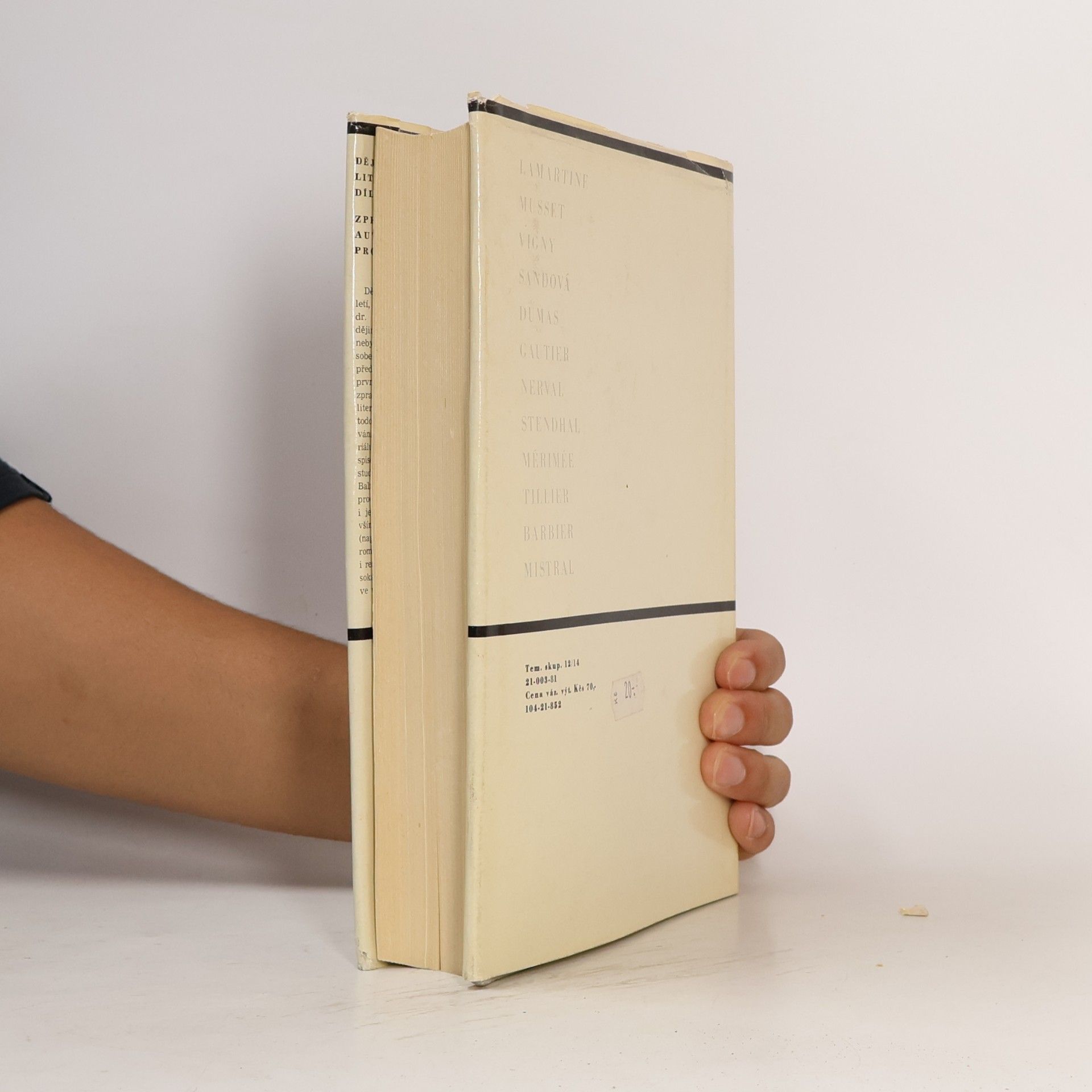 Kolektiv autorů Dějiny francouzské literatury 19. a 20. stol. 1