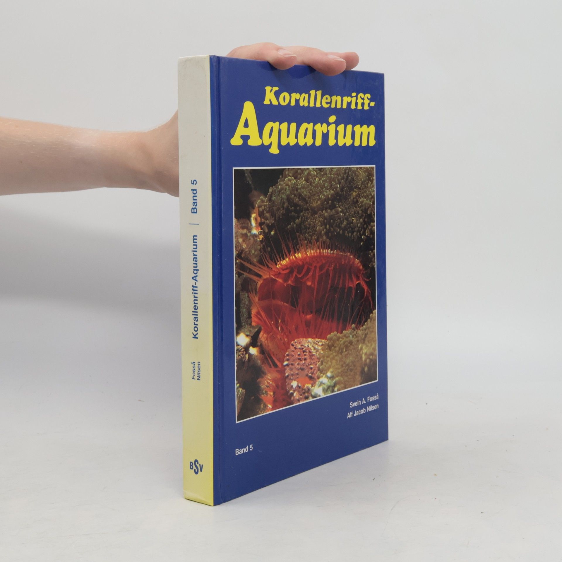 Korallenriff-Aquarium