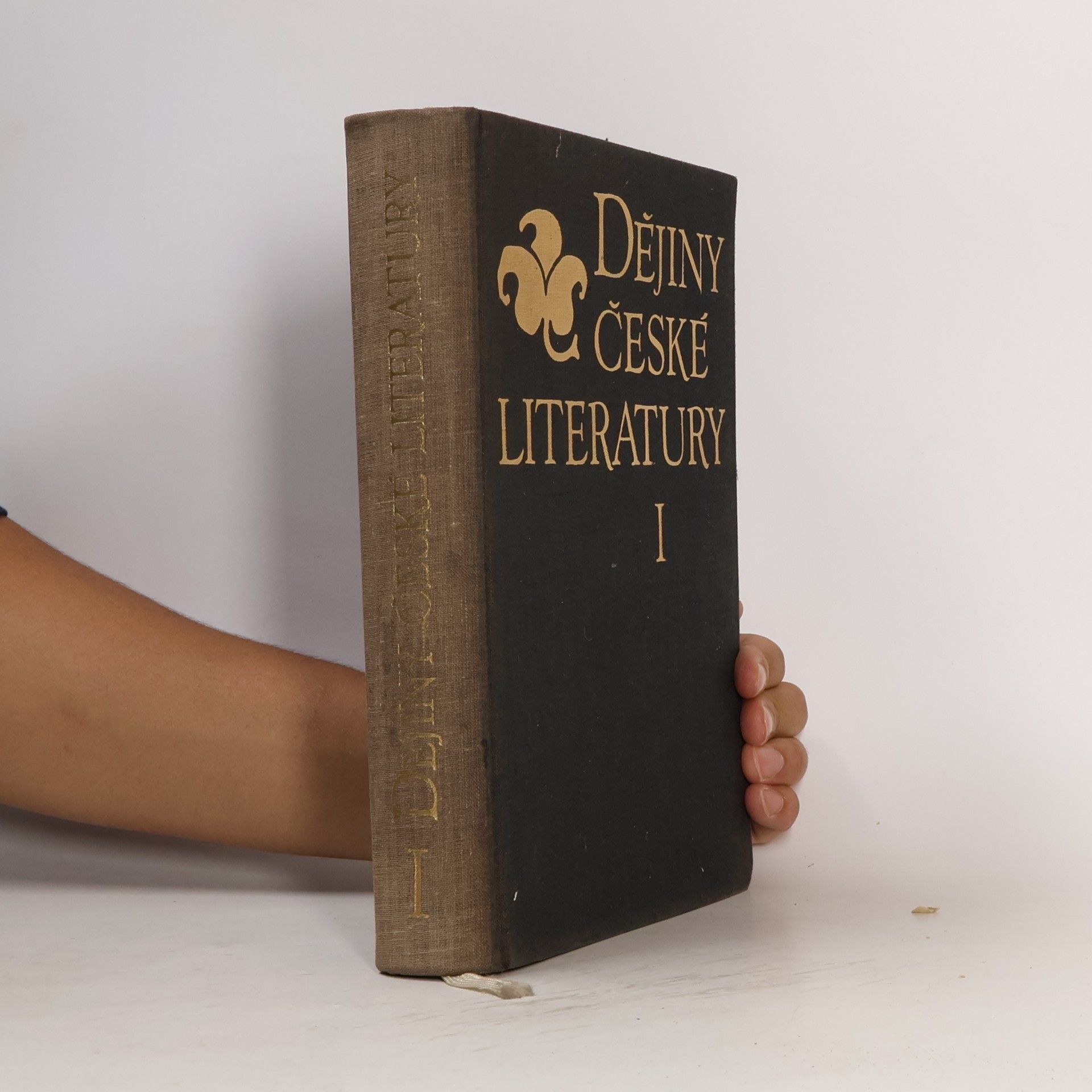 Kolektív autorov Dějiny české literatury I. díl