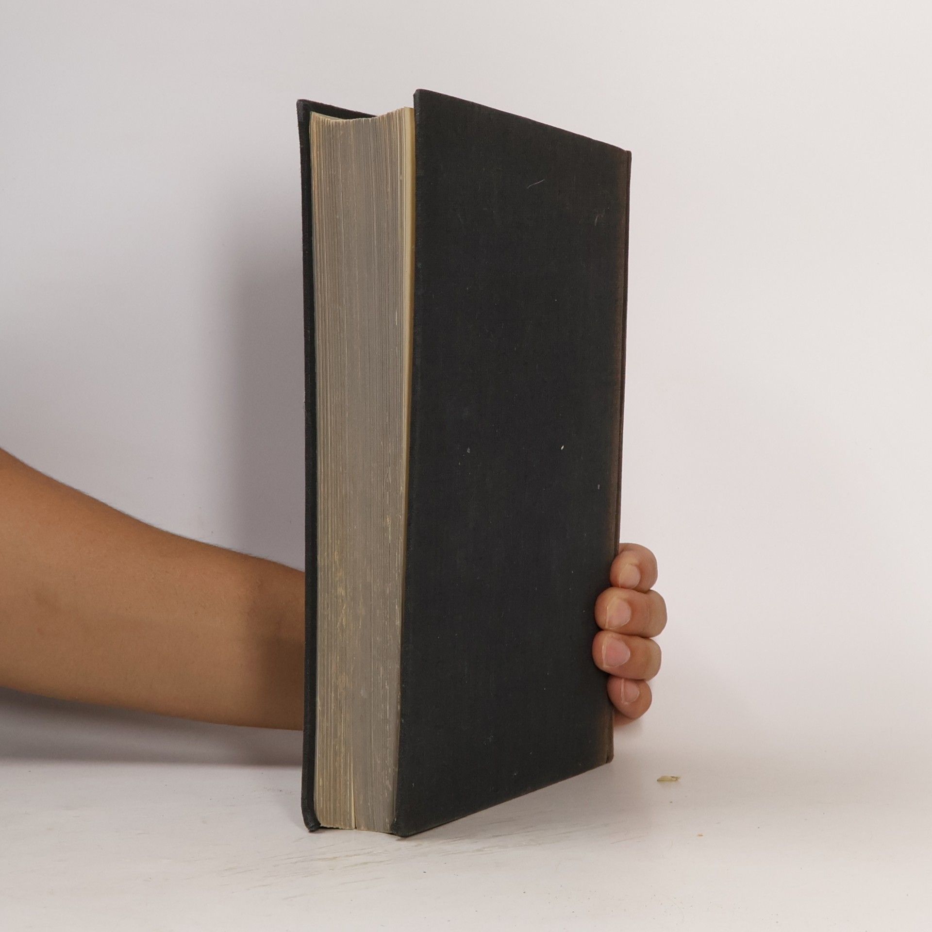 Autorenkollektiv Dějiny české literatury I. díl