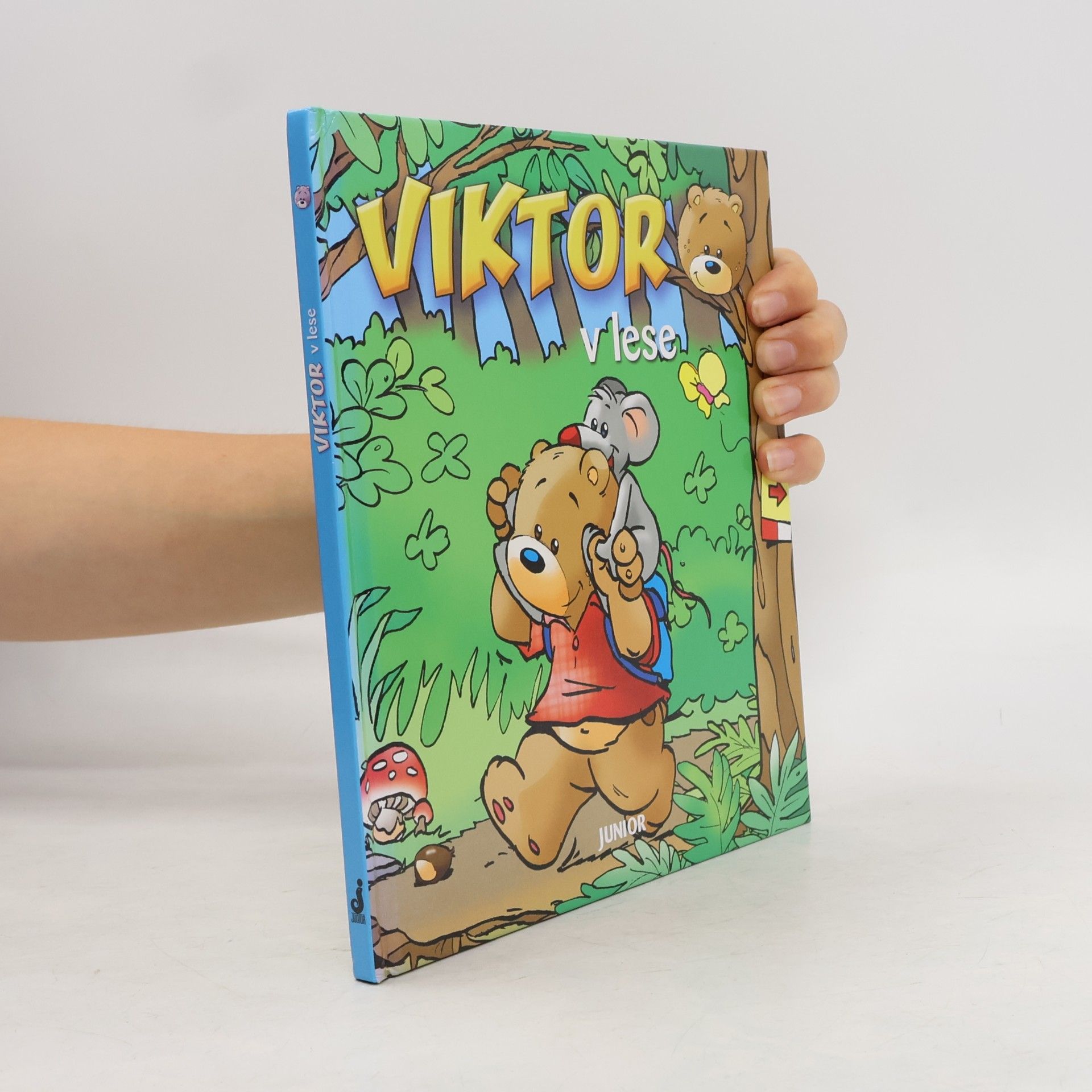 Kolektiv autorů Viktor v lese