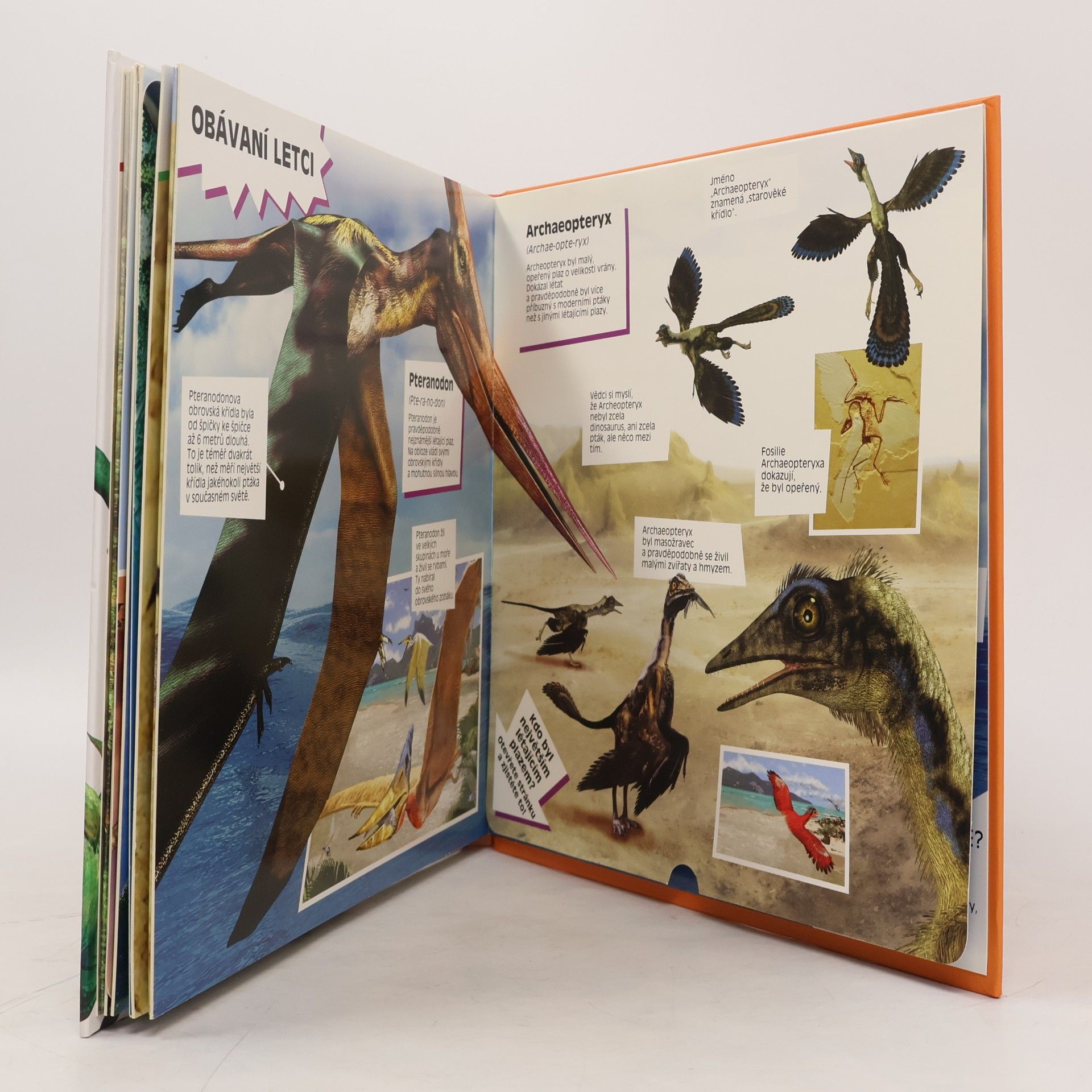 Marek Kurta Úžasní dinosauři : velké rozkládací strany plné faktů
