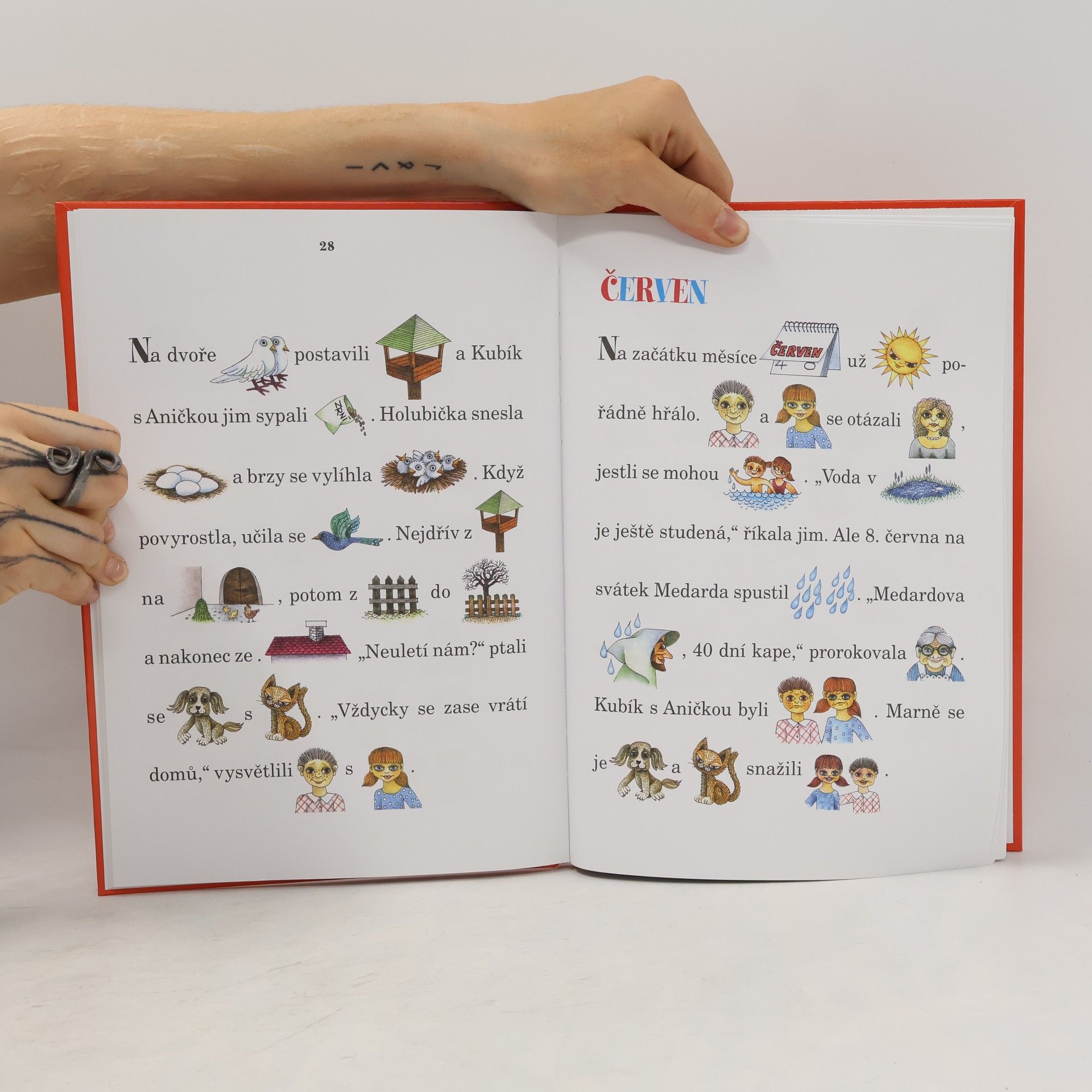 Hana Primusová Rok s pejskem a kočičkou