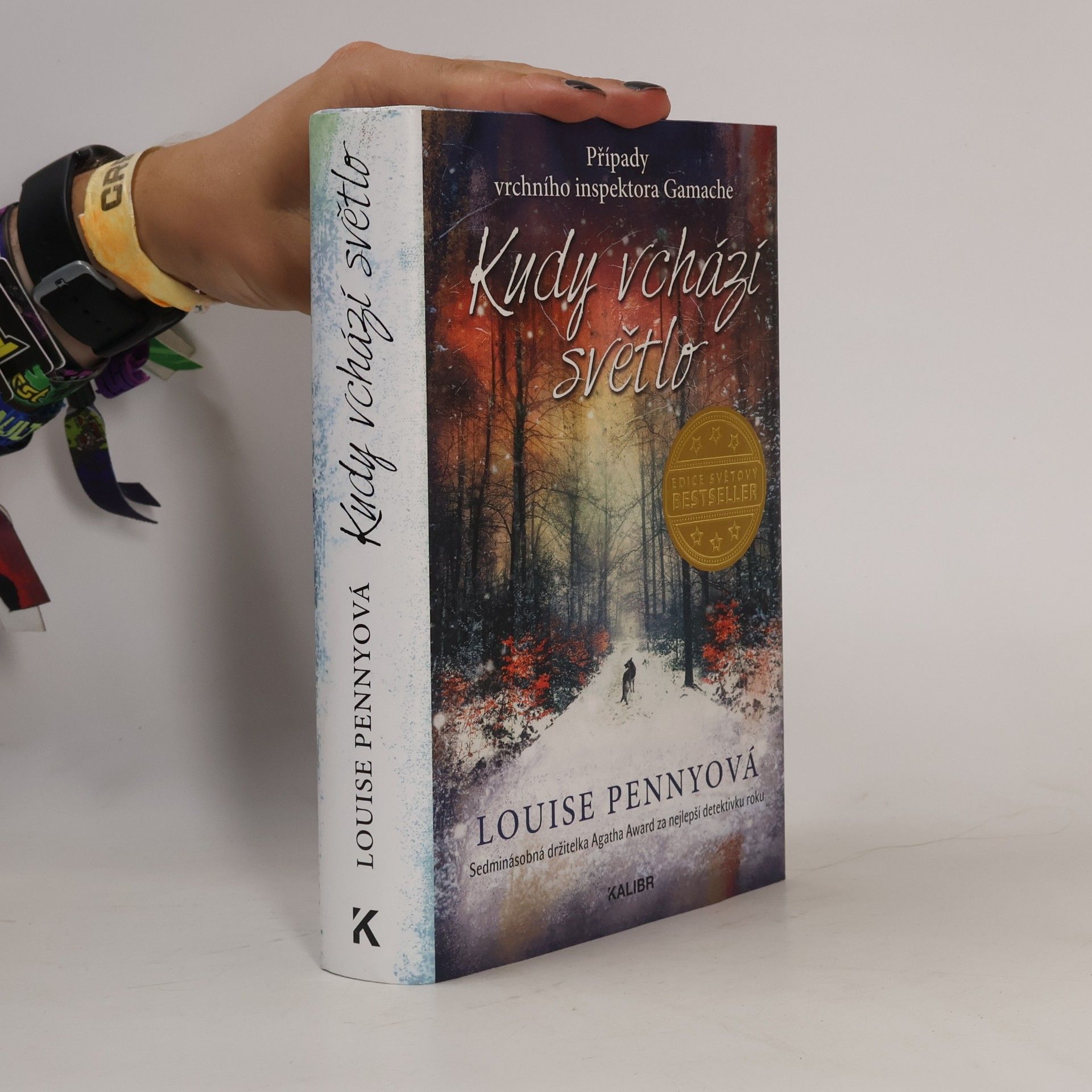 Louise Penny Kudy vchází světlo