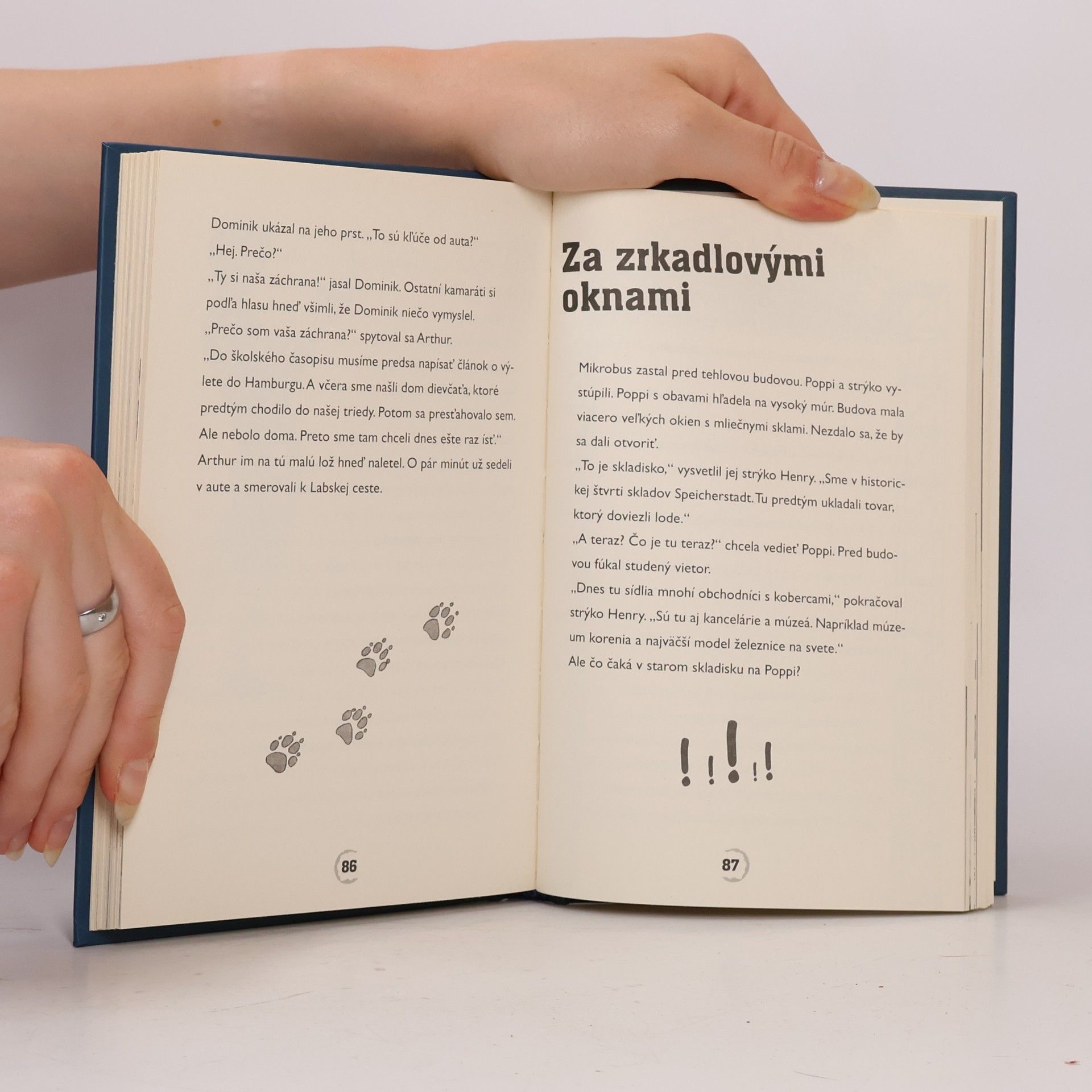 Thomas Brezina Štyria kamaráti v akcii: Panter v strašidelnom lese
