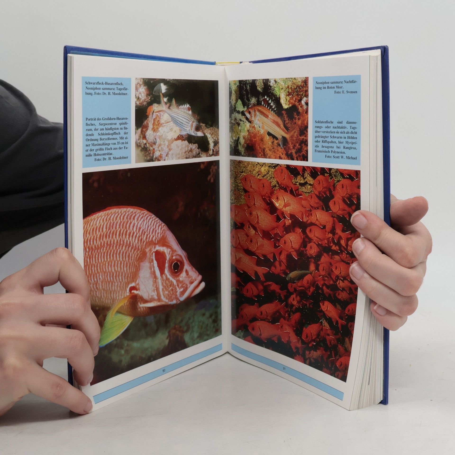 Autorenkollektiv Korallenriff-Aquarium 3