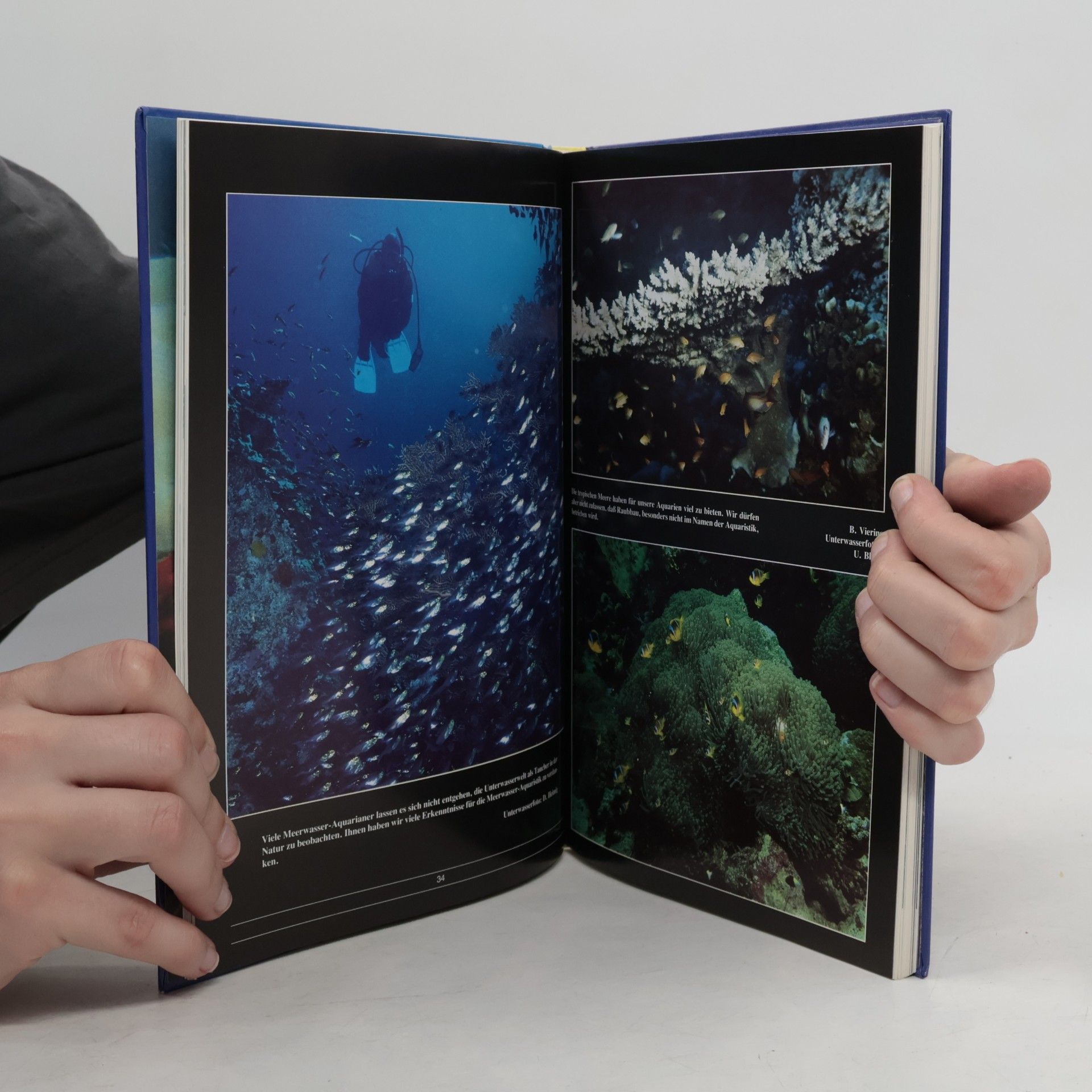 Svein A. Fosså Korallenriff-Aquarium