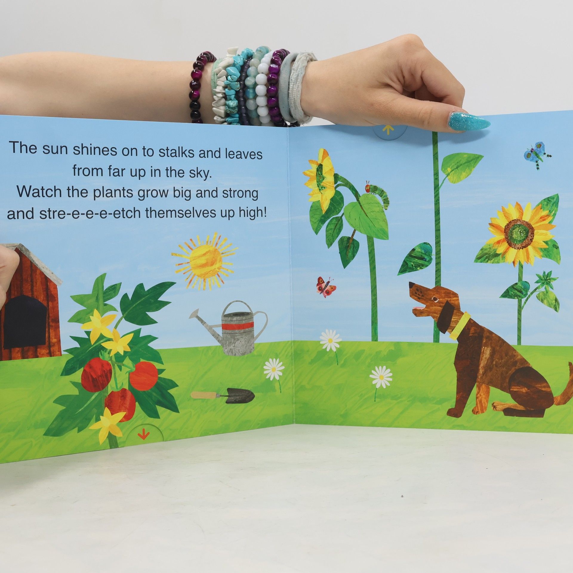Eric Carle The Very Hungry Caterpillar's Garden